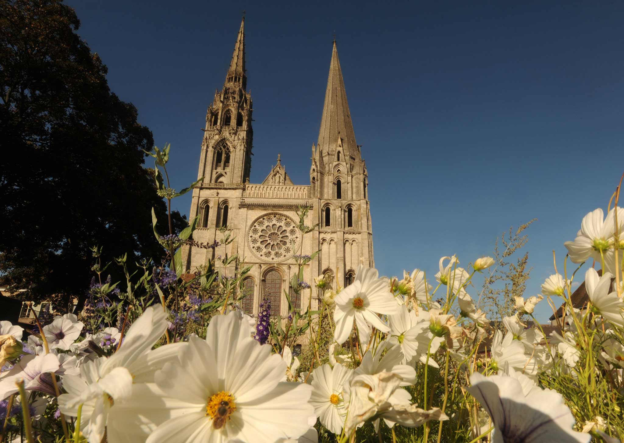 Heart sore: Cathedral of Chartres, France