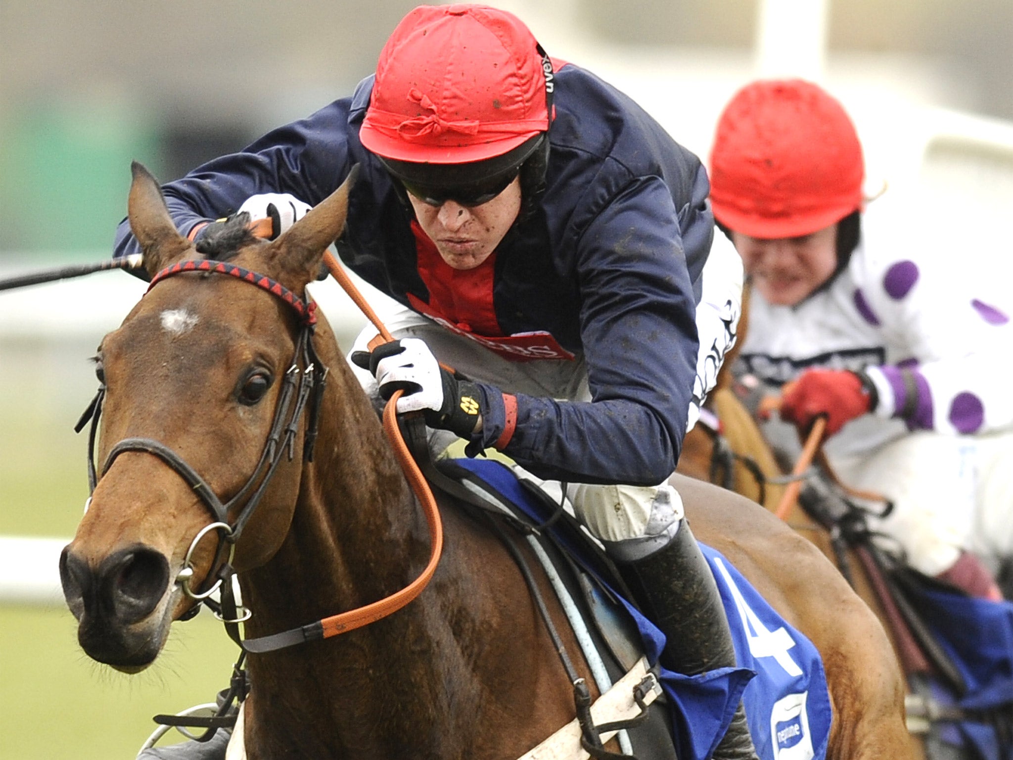 The RSA Chase winner Bobs Worth is set to reappear at Newbury on
Saturday.
