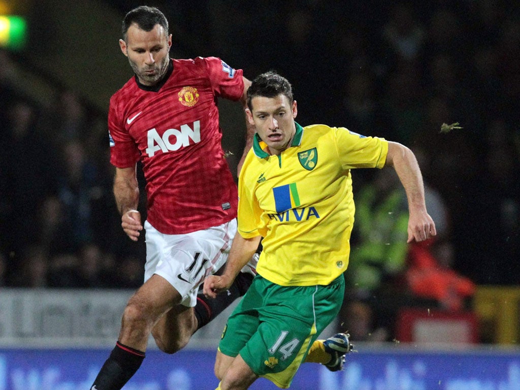 Key man: Wes Hoolahan has starred in the Norwich midfield this season