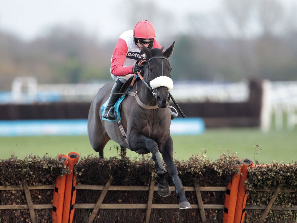 Big Buck’s stretches his winning run over hurdles to 18 consecutive races at Newbury on Saturday