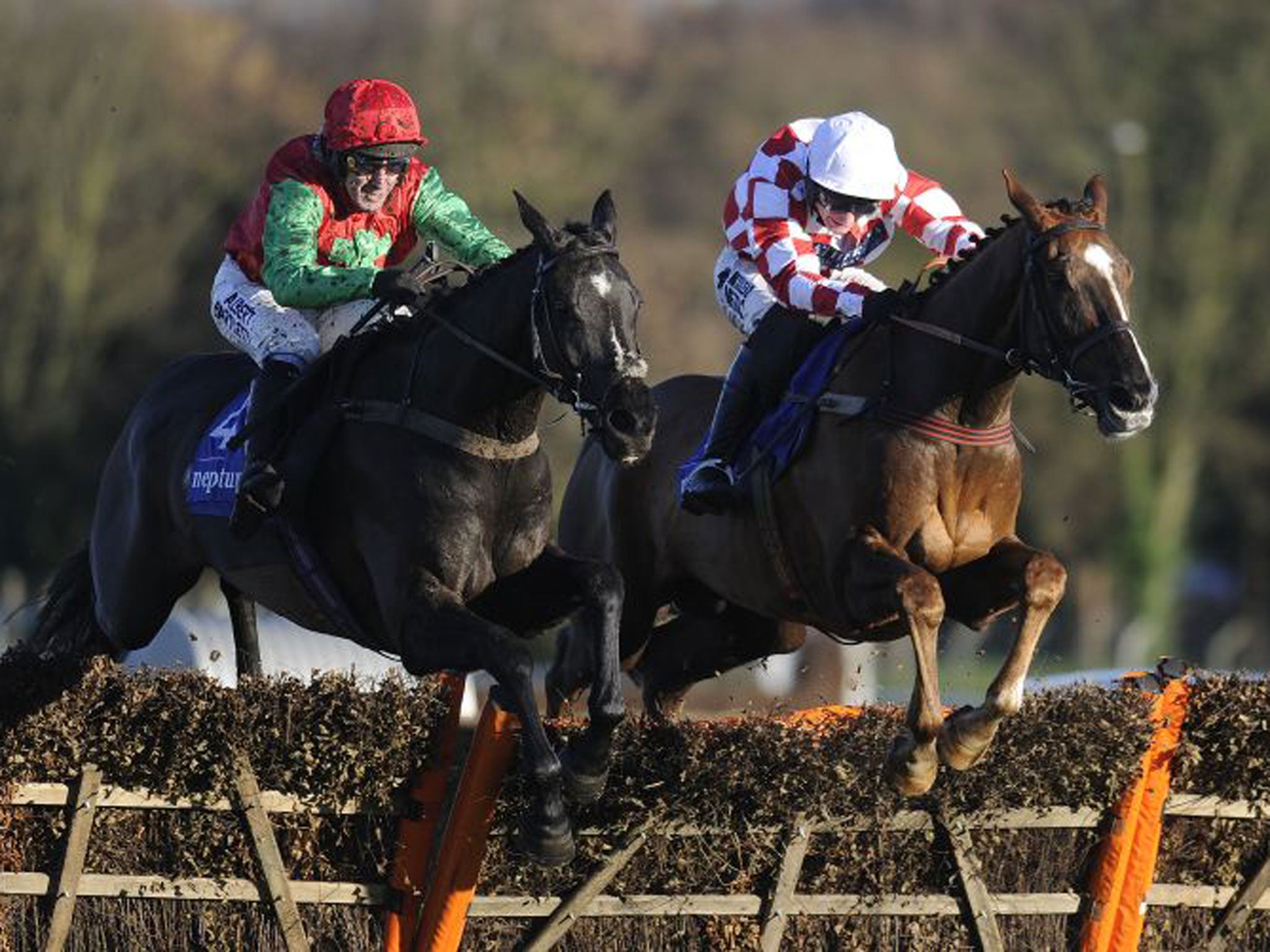 Taquin Du Seuil (left), ridden by Tony McCoy, clears the last flght upsides Le Bec (Dougie Costello) to win the Grade Two Winter Novice Hurdle at Sandown yesterday