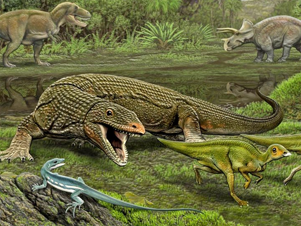 The lizard Obamadon looks on as the carnivorous lizard Palaeosaniwa stalks its Edmontosaurus prey