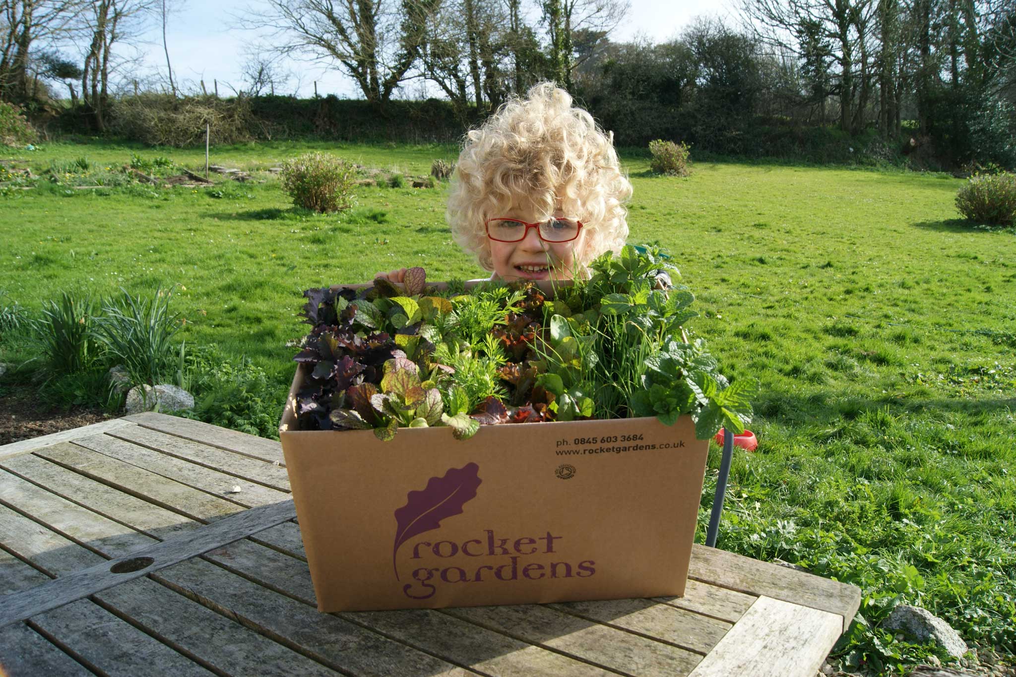 A children's garden by Rocket Gardens