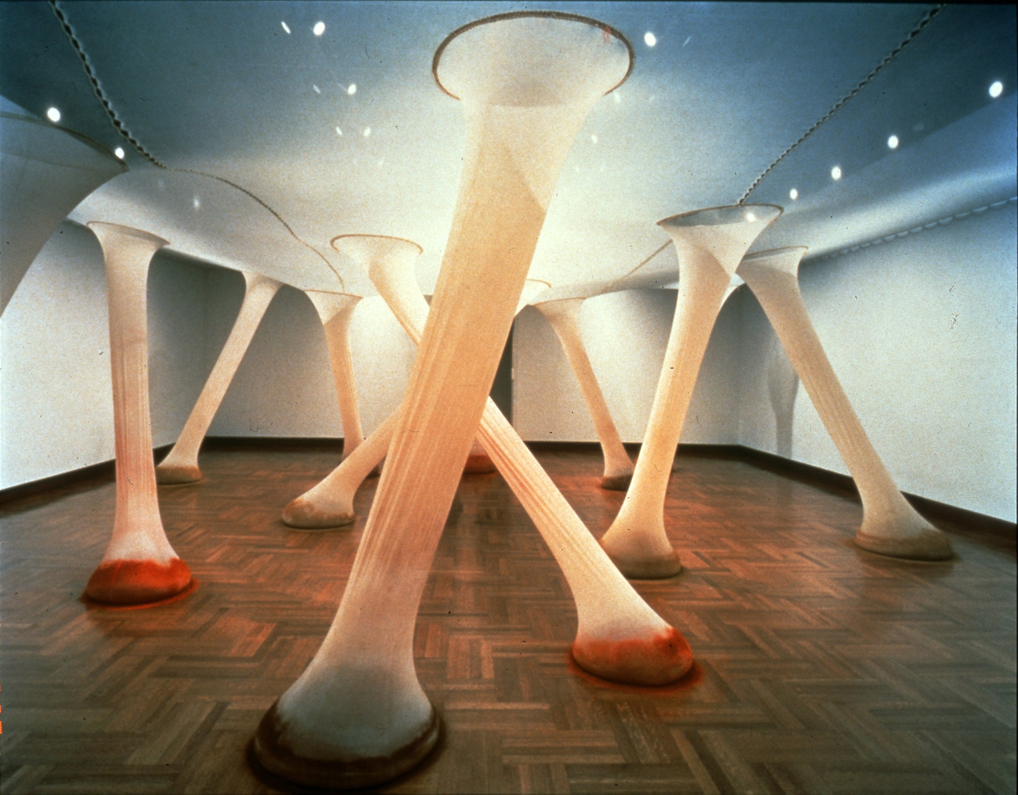 Ernesto Neto, It happens when the body is anatomy of time, 2000. Lycra tulle, clove, cumin, saffron, 355 x 1060 x 940 cm
D.Daskalopoulos Collection