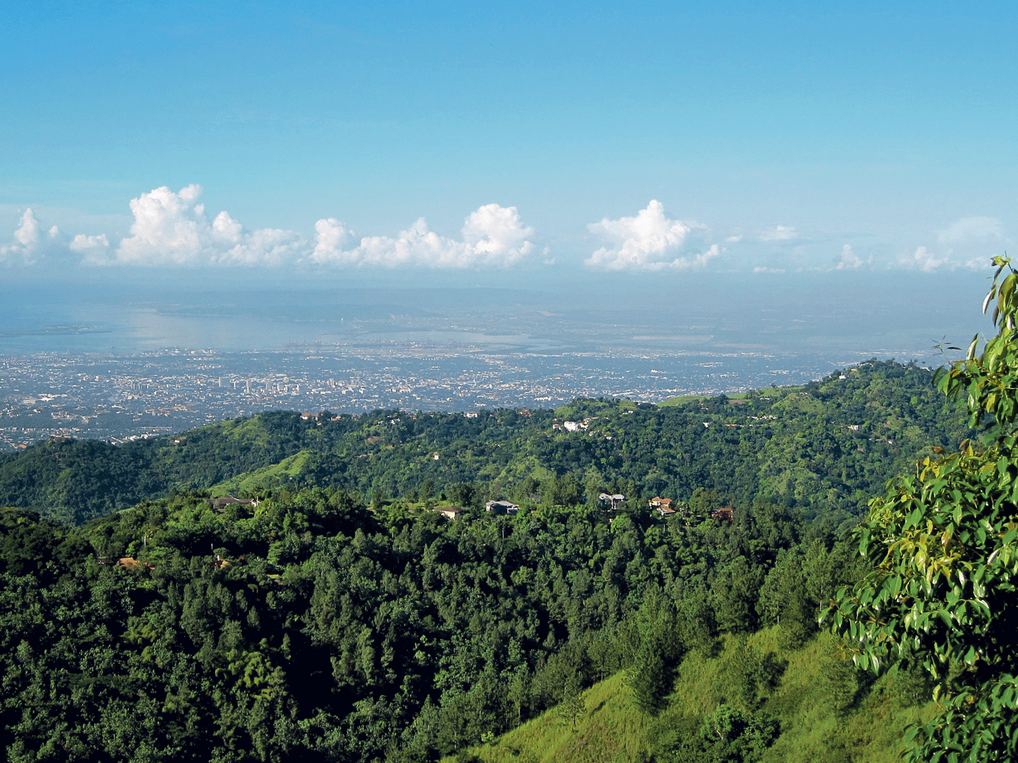 Green peace: view from Strawberry Hill