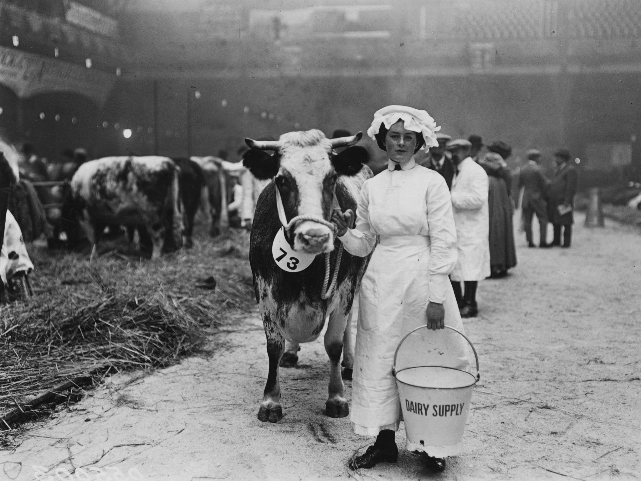 A dairy maid with her cow and a bucket during a Dairy Show in 1913