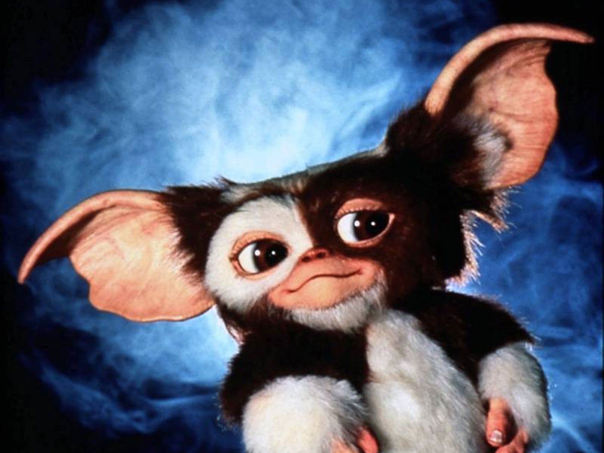 Gizmo, one of Joe Dante’s gremlins