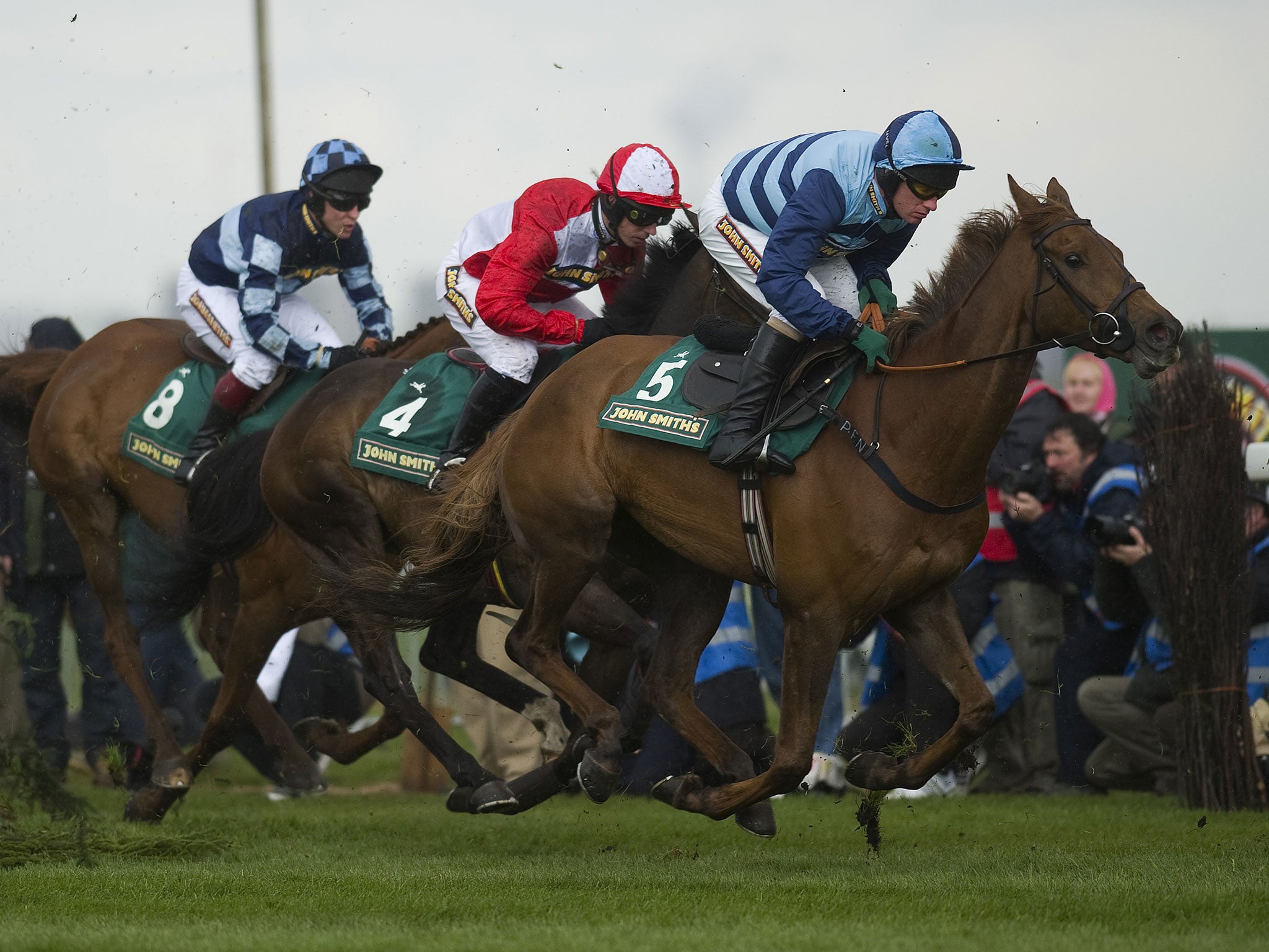 Young chestnut: Kauto Stone (No 5) is a progressive young horse who stays three miles, ideal for the Boxing Day King George