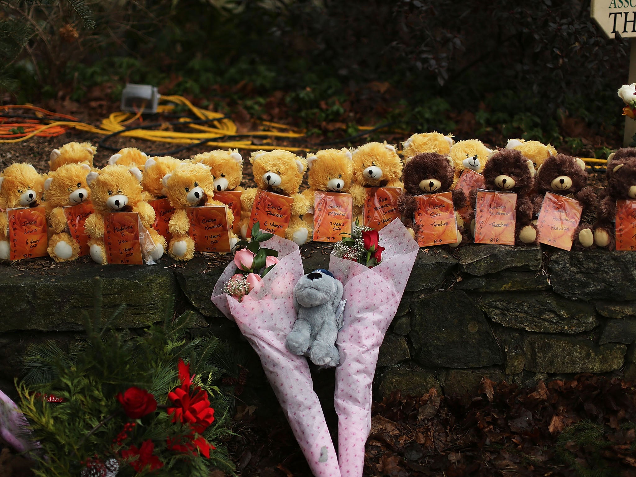 The massacre at Newtown has led to a heated debate about gun ownership in America