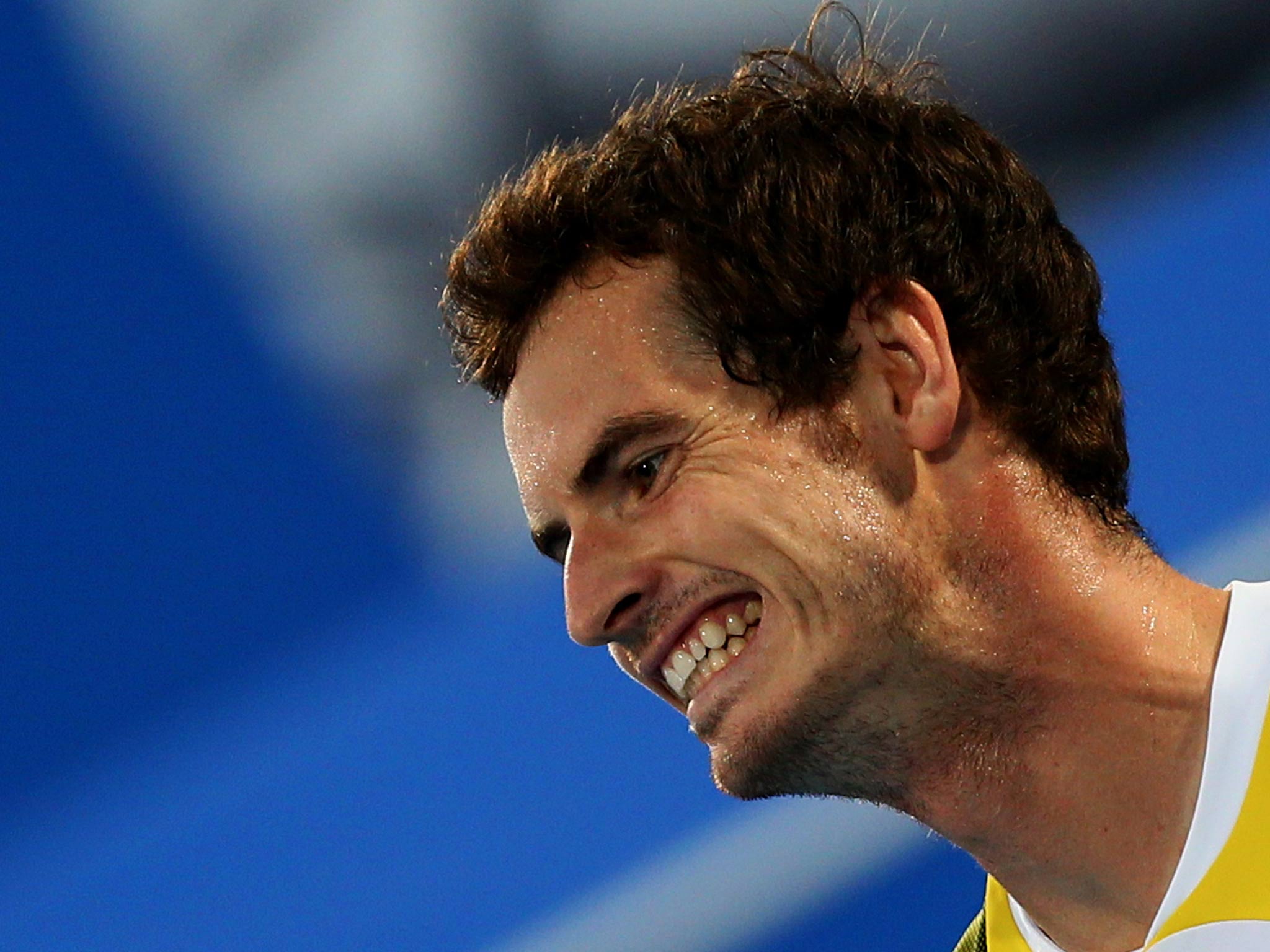 Andy Murray