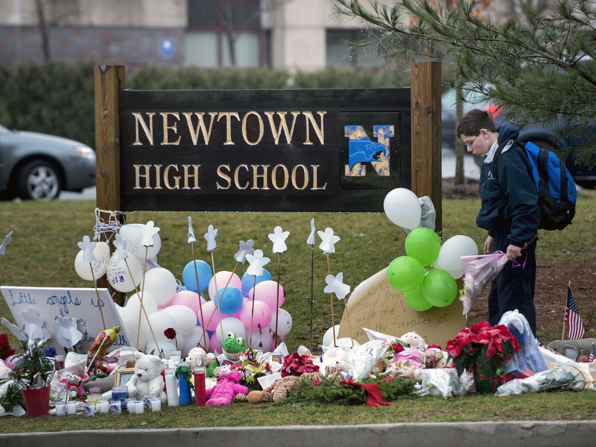 A poll shows more Americans favour stronger gun laws after the Newtown massacre