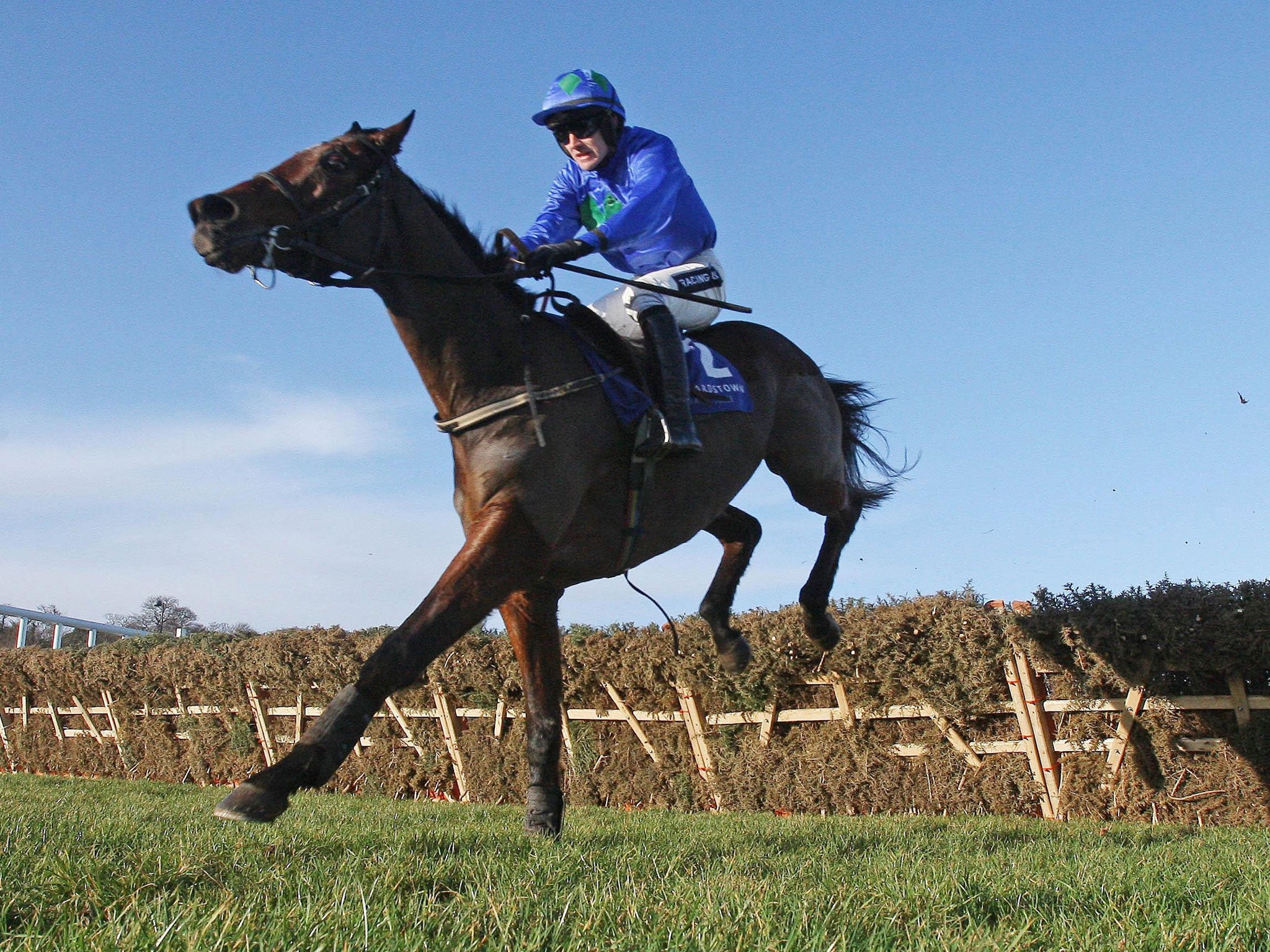 Raring to go: Hurricane Fly answers questions about his quality with a dominant victory in the Istabraq Festival Hurdle