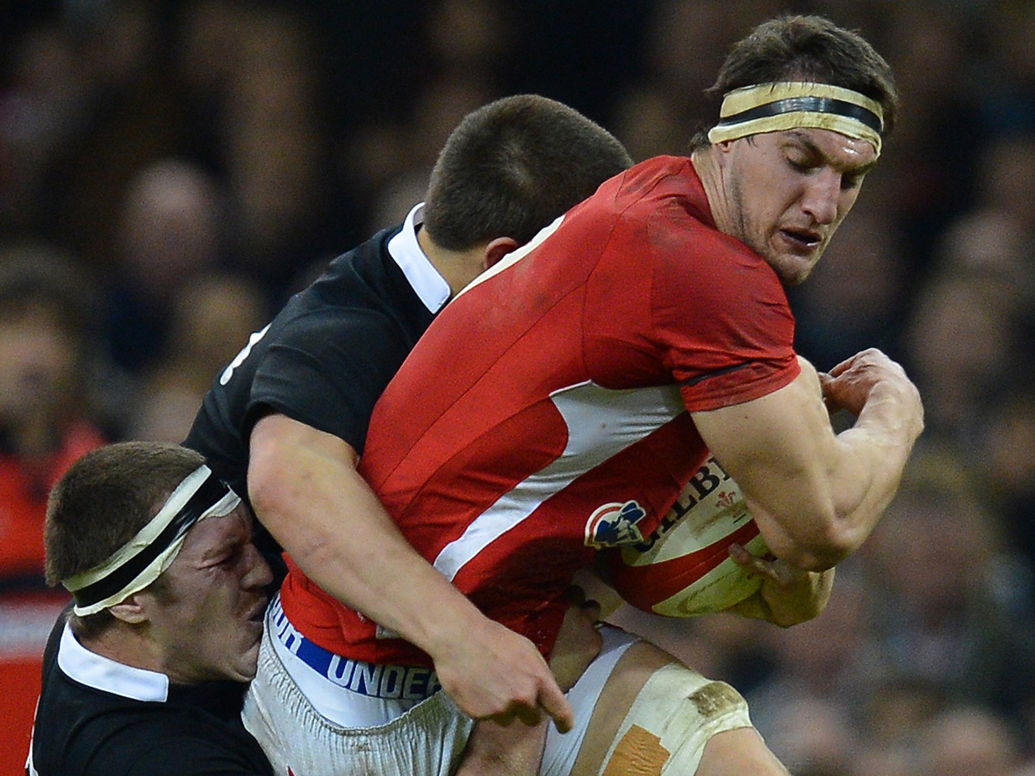 Wales flanker, Sam Warburton