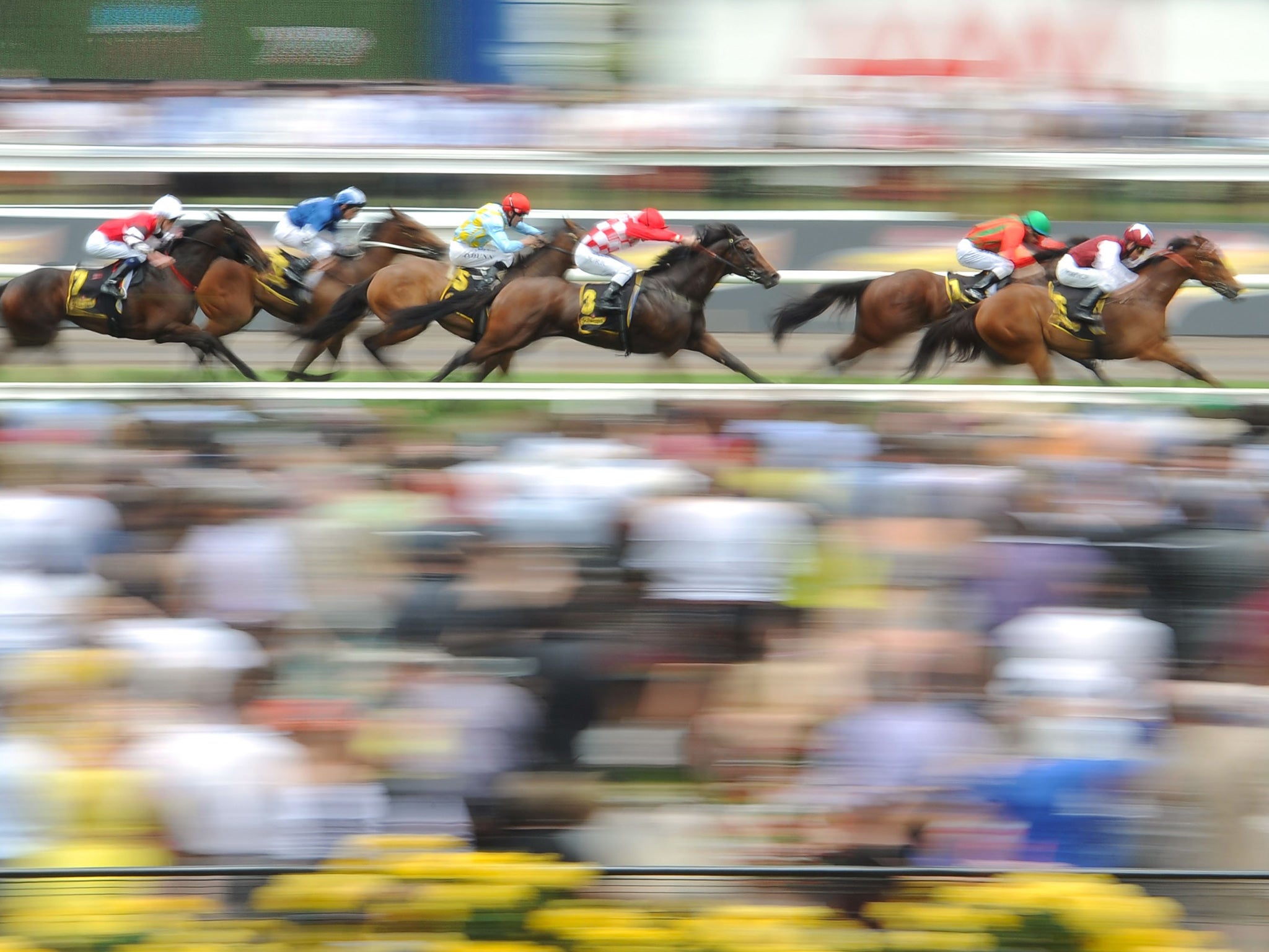 The Melbourne Cup is considered ‘the race that stops a nation’