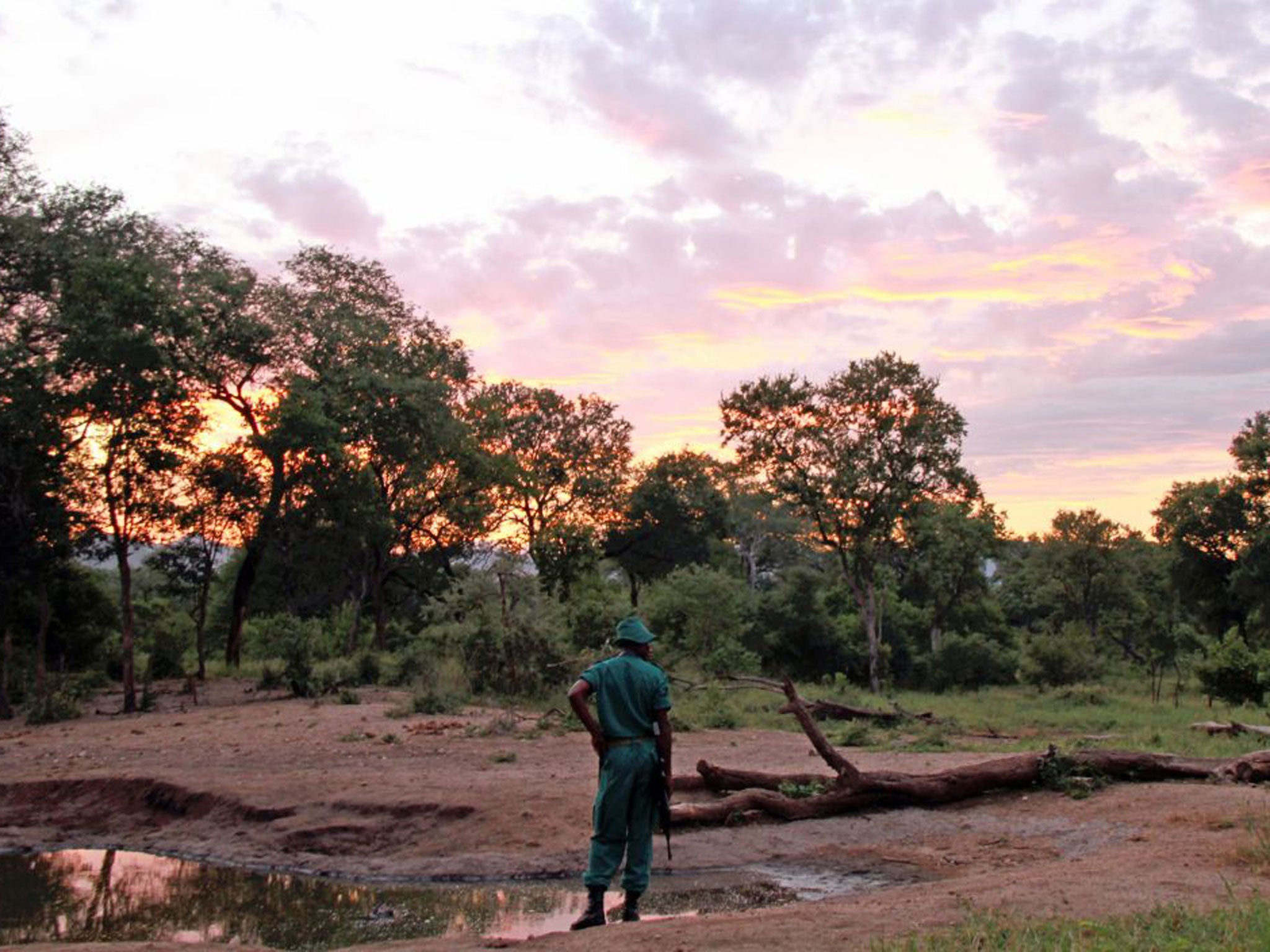 Looking for clues: on the trail of black rhino