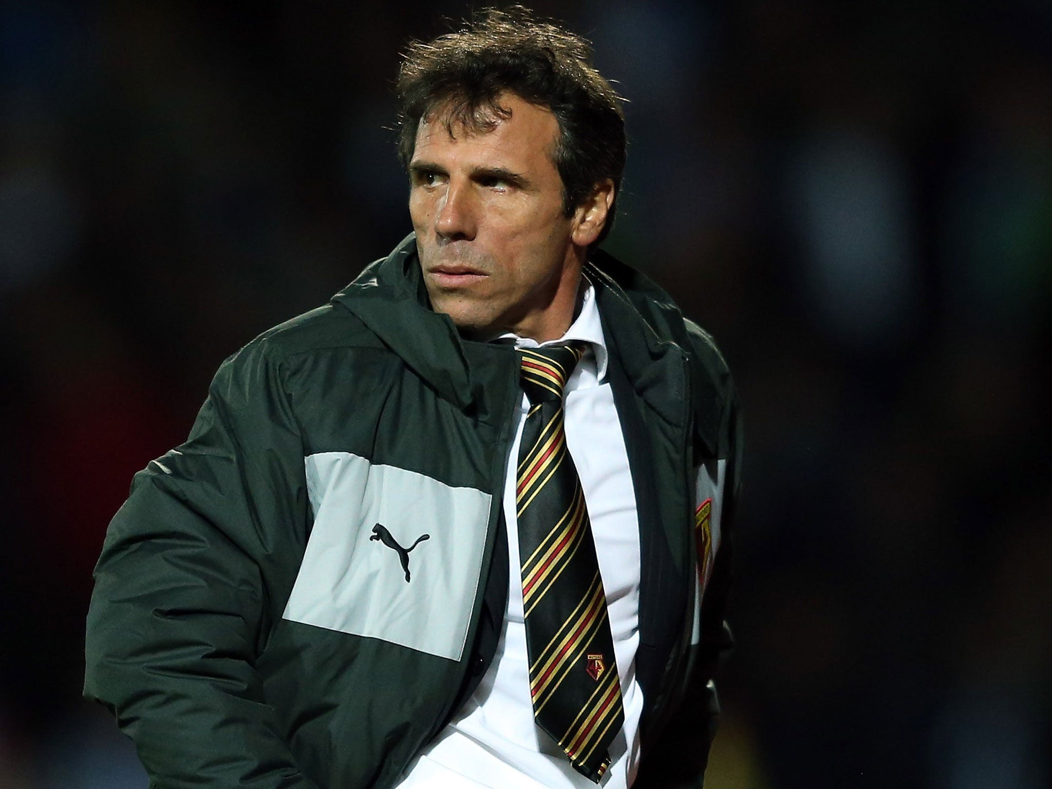 Watford manager Gianfranco Zola