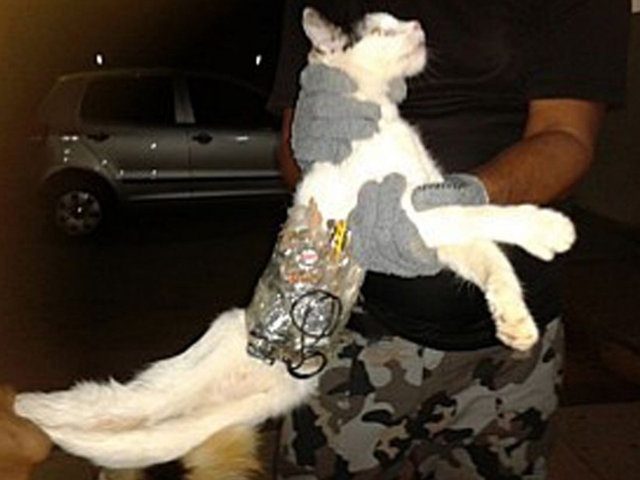 A prison guard holds the cat, which has objects wrapped around his body with tape at the prison in Arapiraca