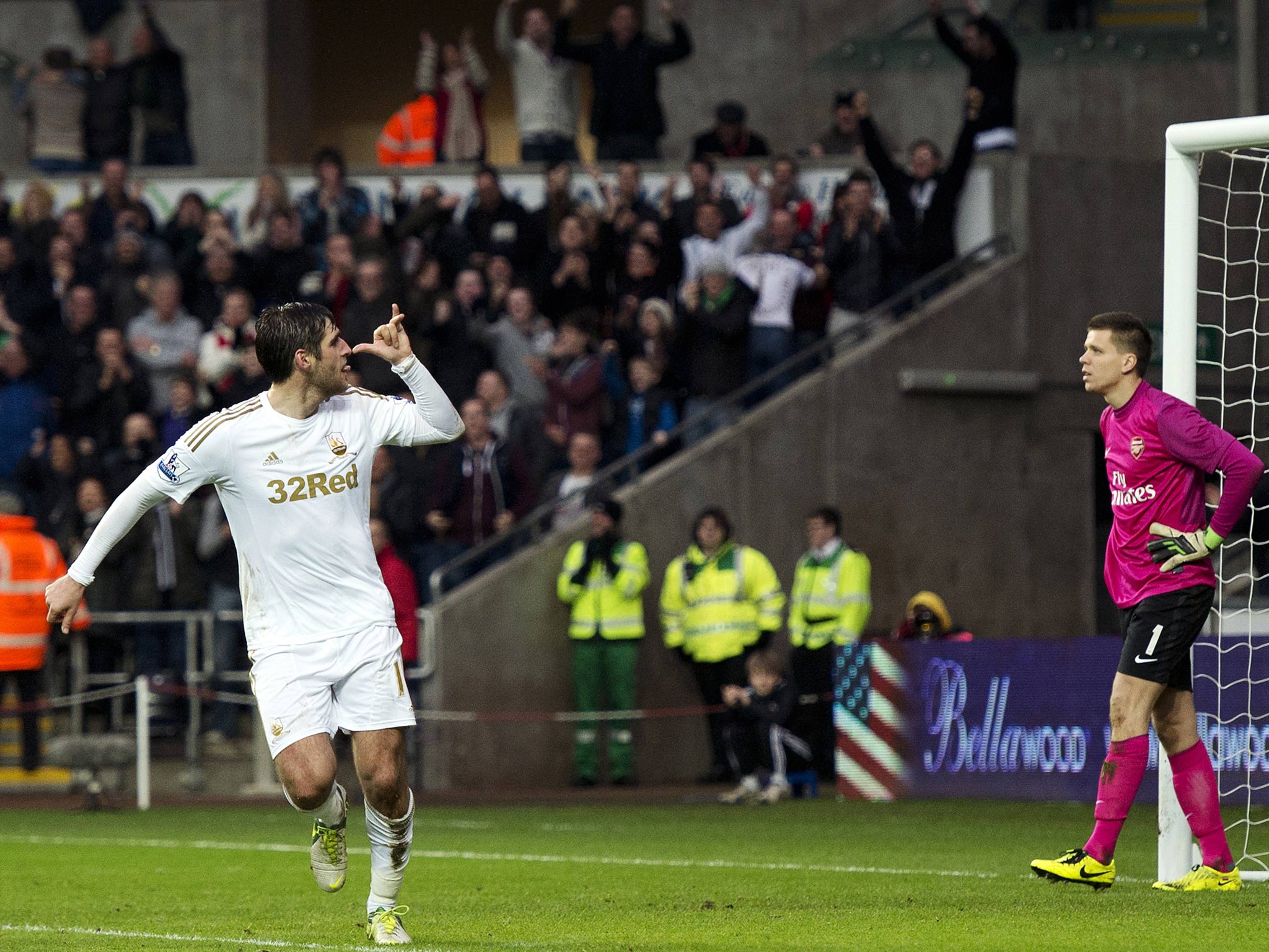 Danny Graham celebrates his goal against Arsenal