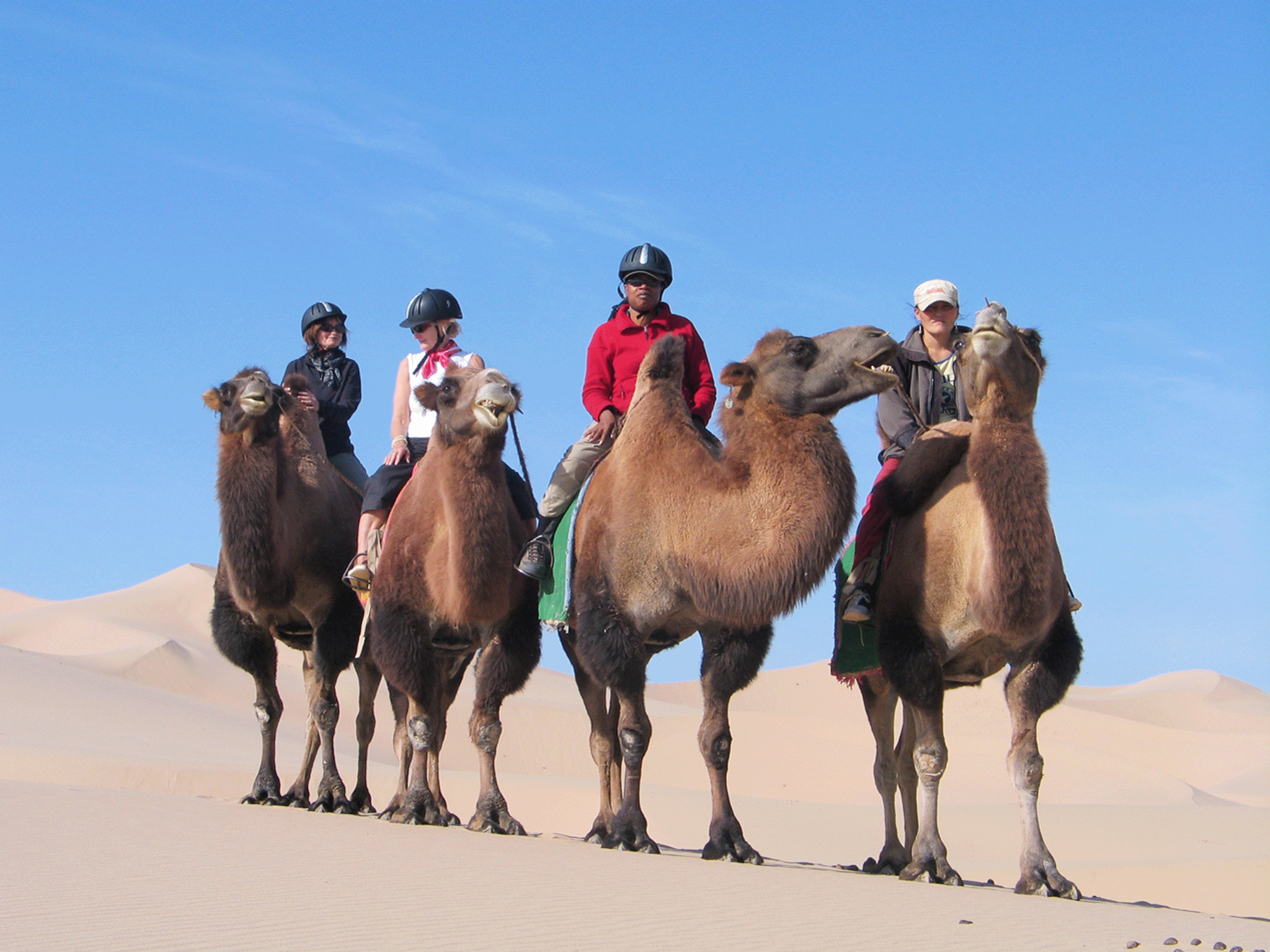 Camel trekking in the Gobi