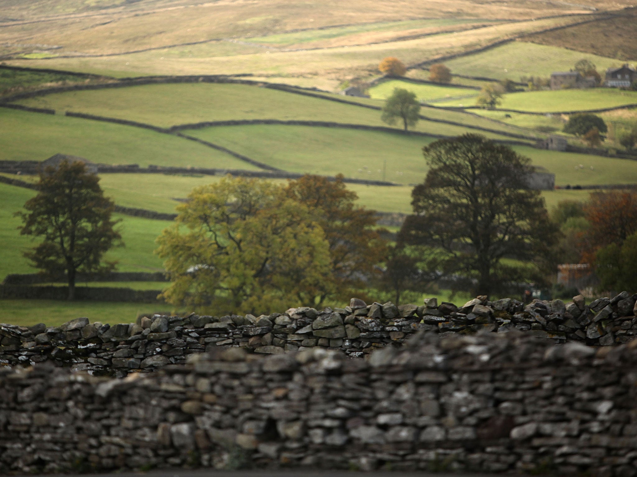 The incident took place in Wensleydale