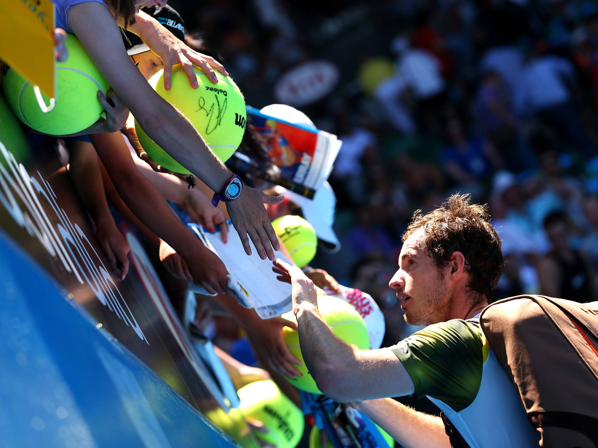 Andy Murray at the Australian Open