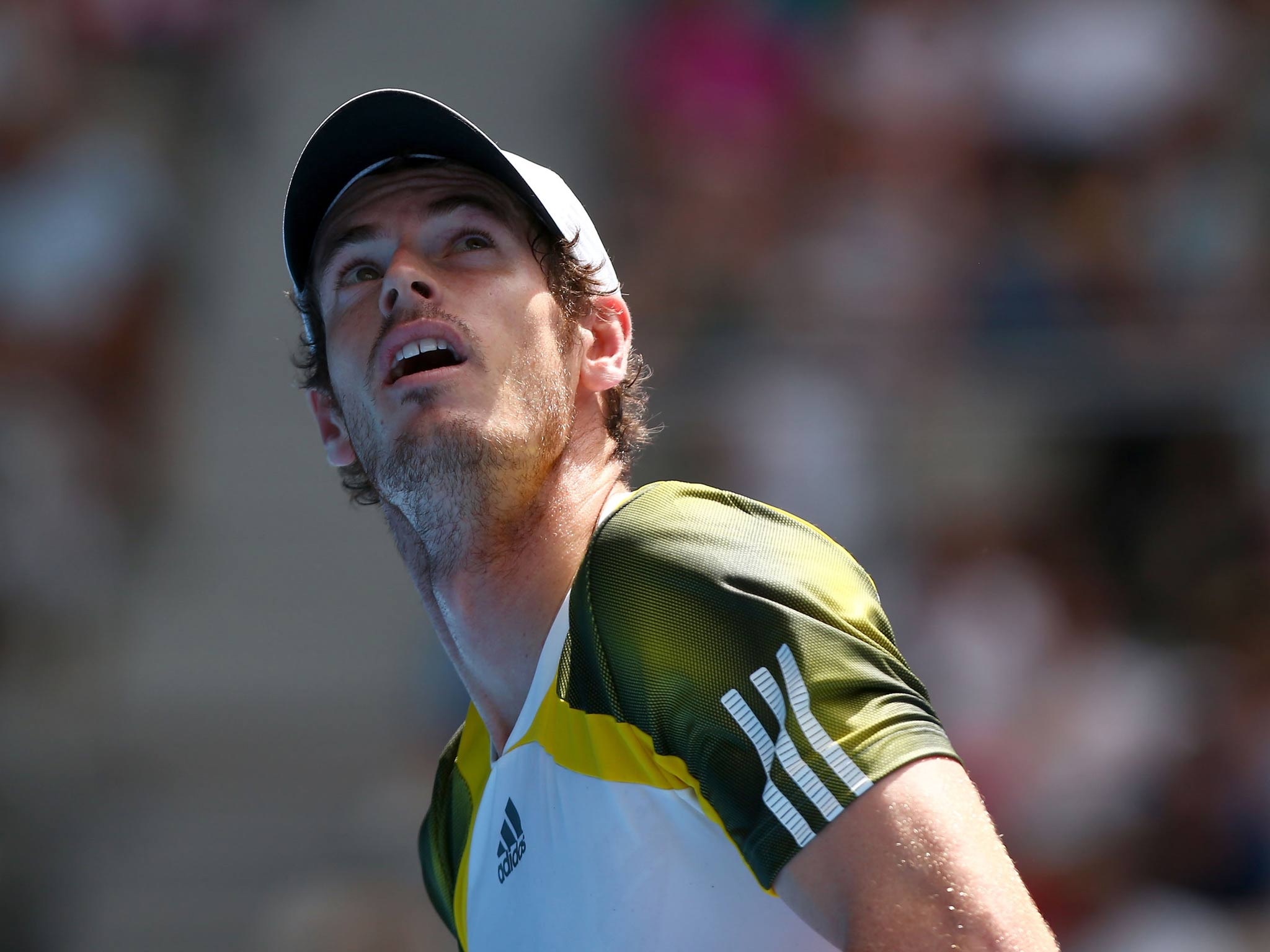 Andy Murray in action at the Australian Open