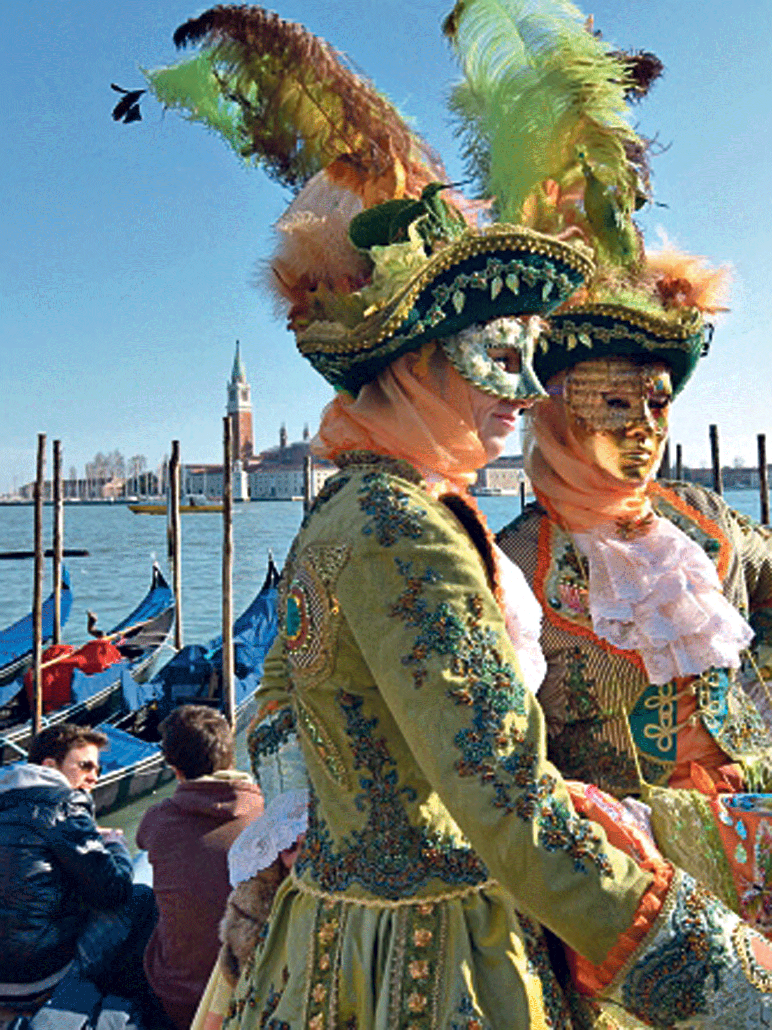 Feathered friends: Venice carnival-goers