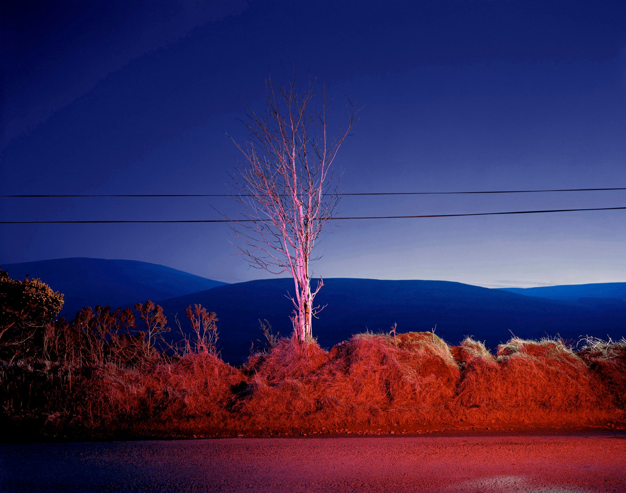 A country road. A tree. Evening. Somewhere between Tonygarrow and Cloon Wood, below Prince William’s Seat, Glencree, Co. Wicklow
2007 ,C-type print
96 x 118.5 cm