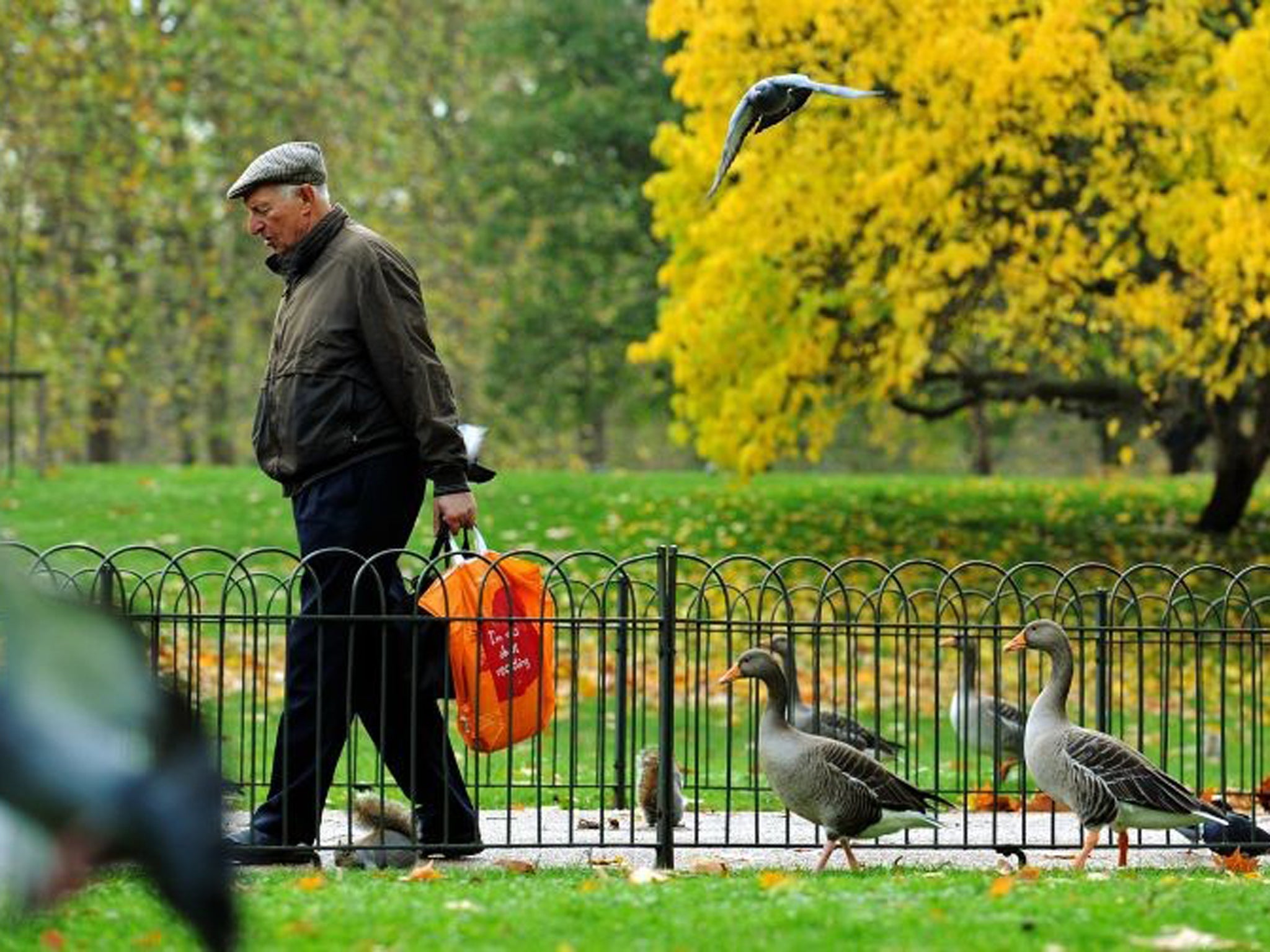 The deterioration of workplace schemes will affect millions of pensioners