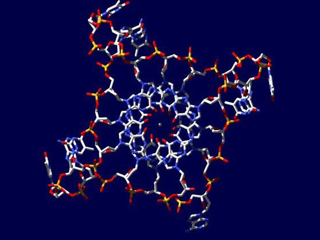 DNA is the molecule of inheritance and usually consists of two opposing strands that are wound around each other in the form of a double helix. However, scientists have now found a four-stranded form of DNA in the shape of a quadruple helix (pictured), which is arranged like a stack of squares lying on top of
one another. This “quadruplex” DNA may play a role in controlling cell replication in cancer