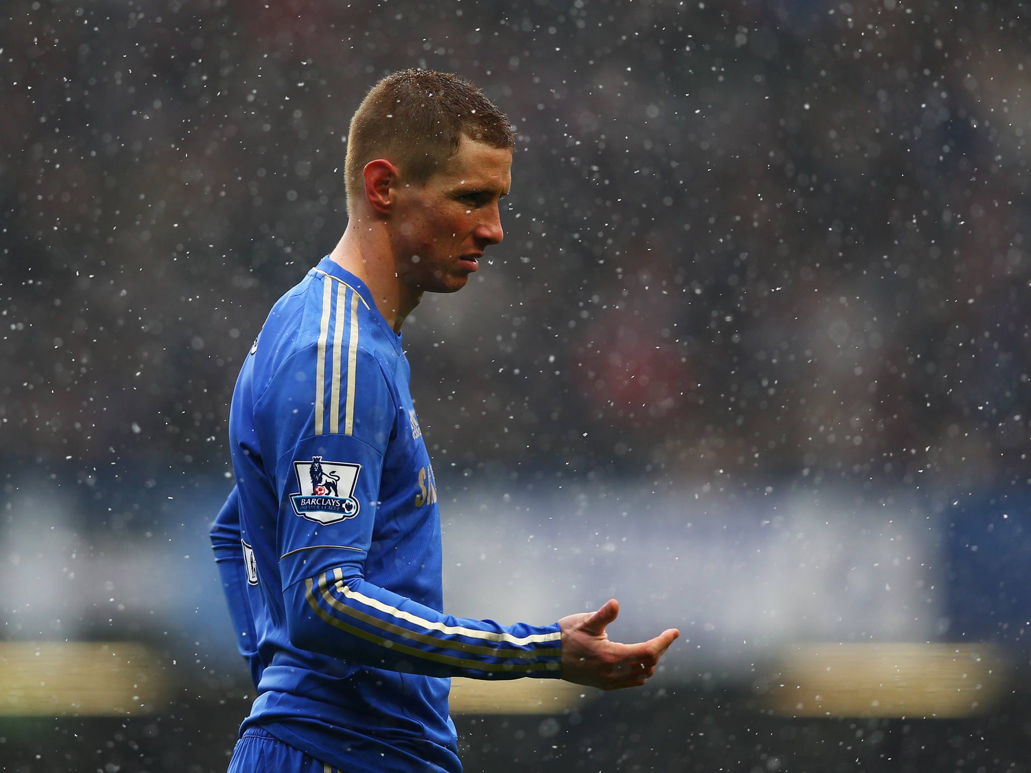 Fernando Torres