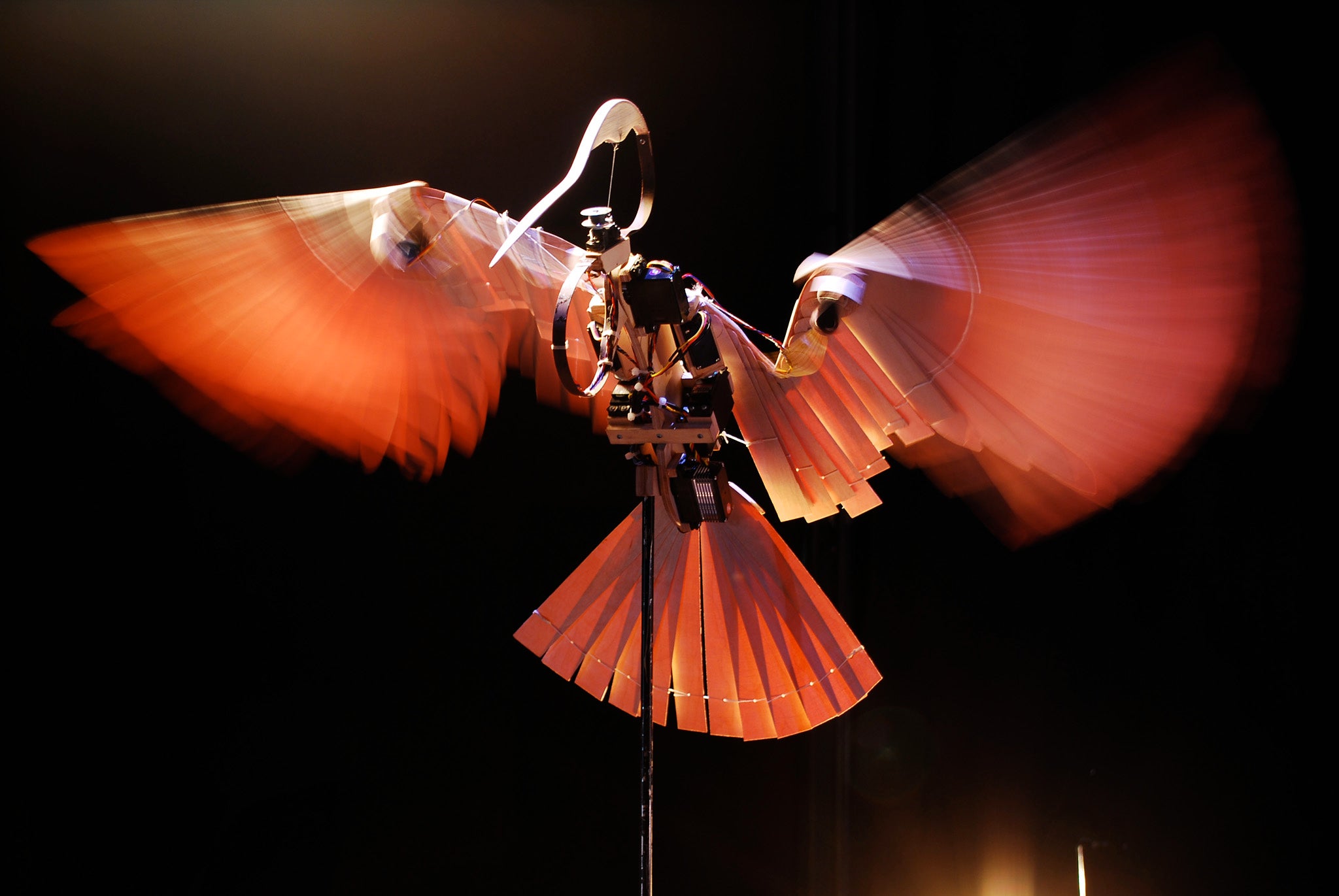 Amit Drori’s Savanna: A Possible Landscape as part of the London International Mime Festival