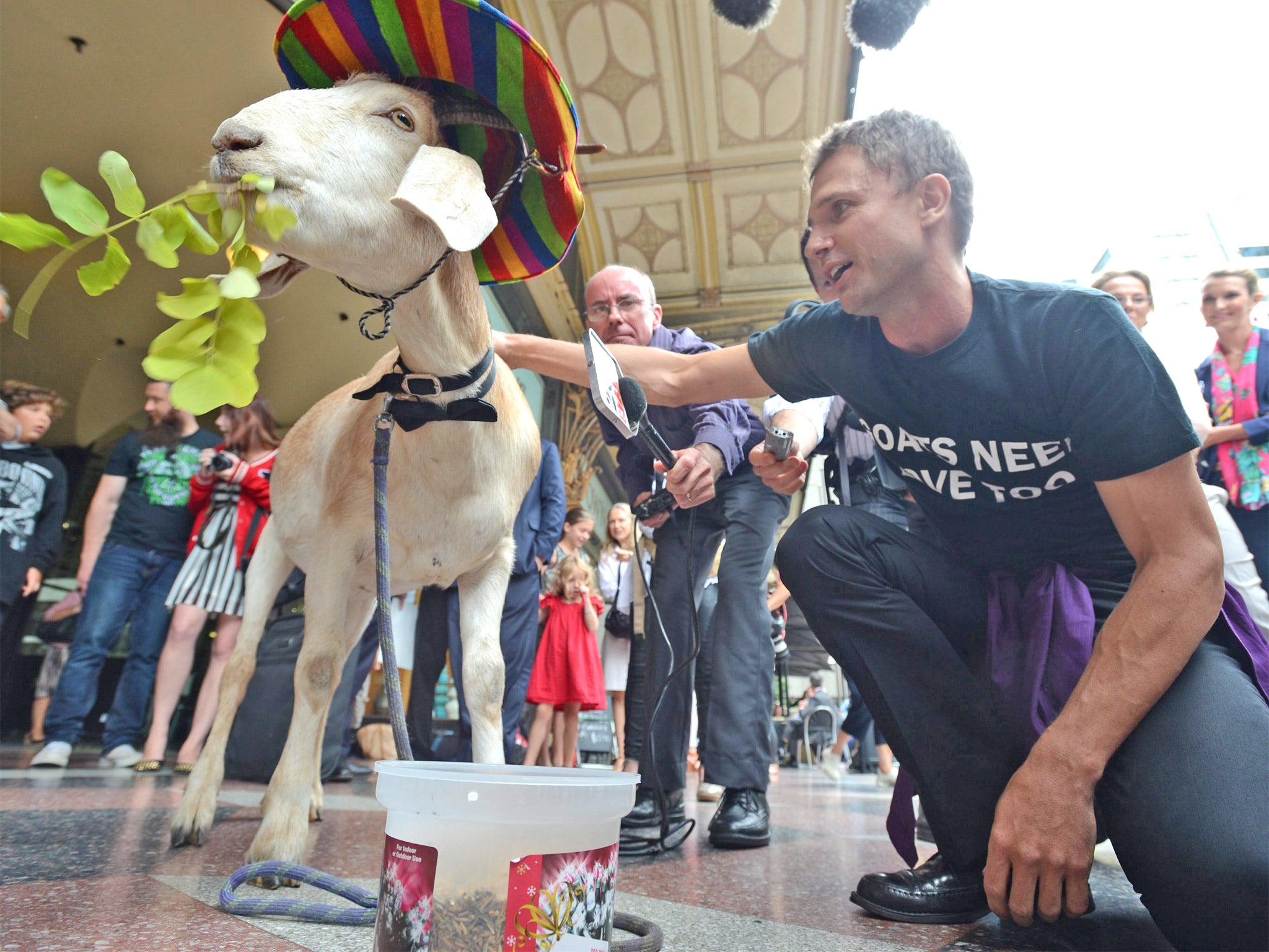 Gary the Goat with his owner comedian Jimbo Bazoobi