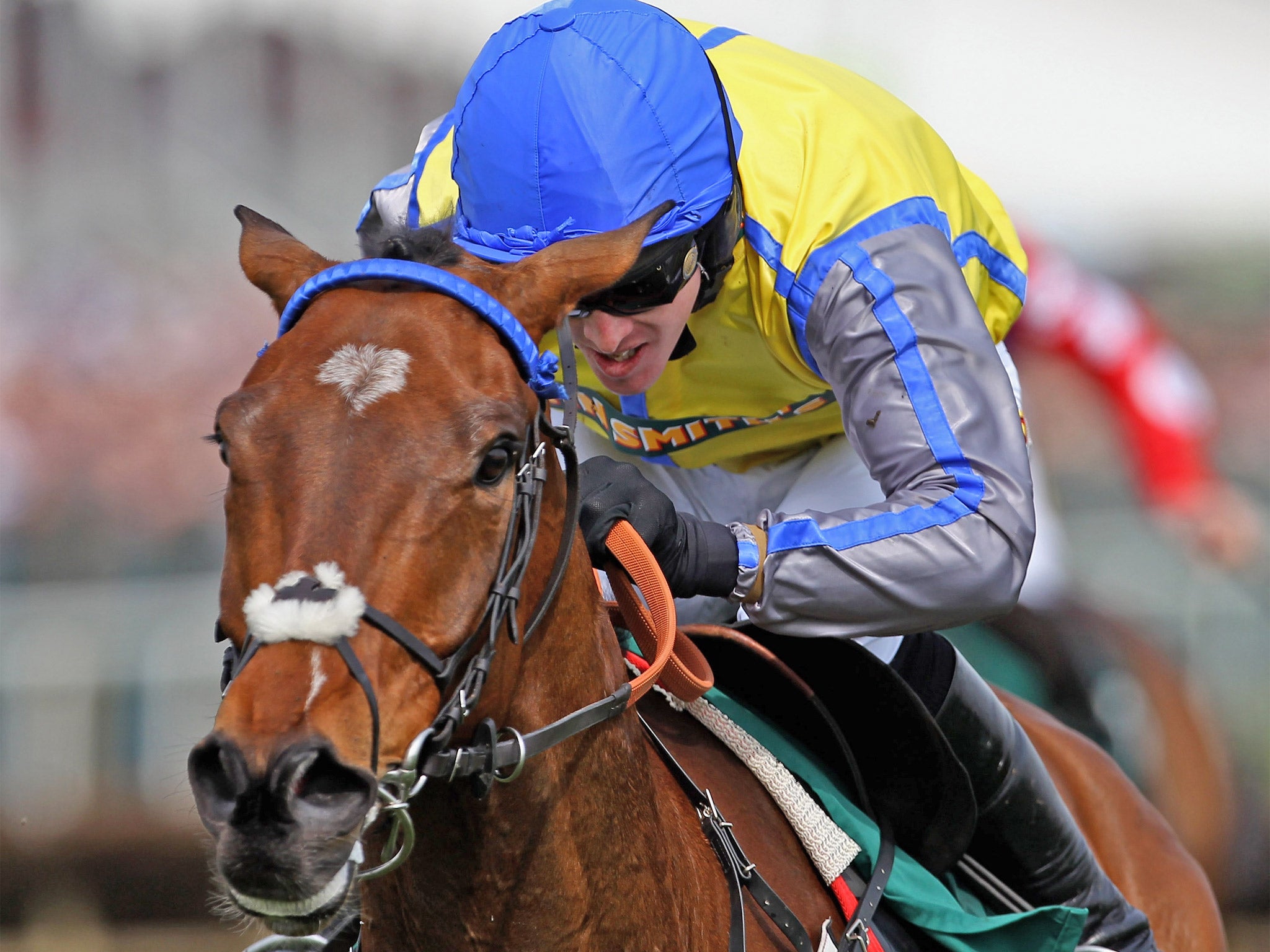 Peddlers Cross hasn't raced since last March