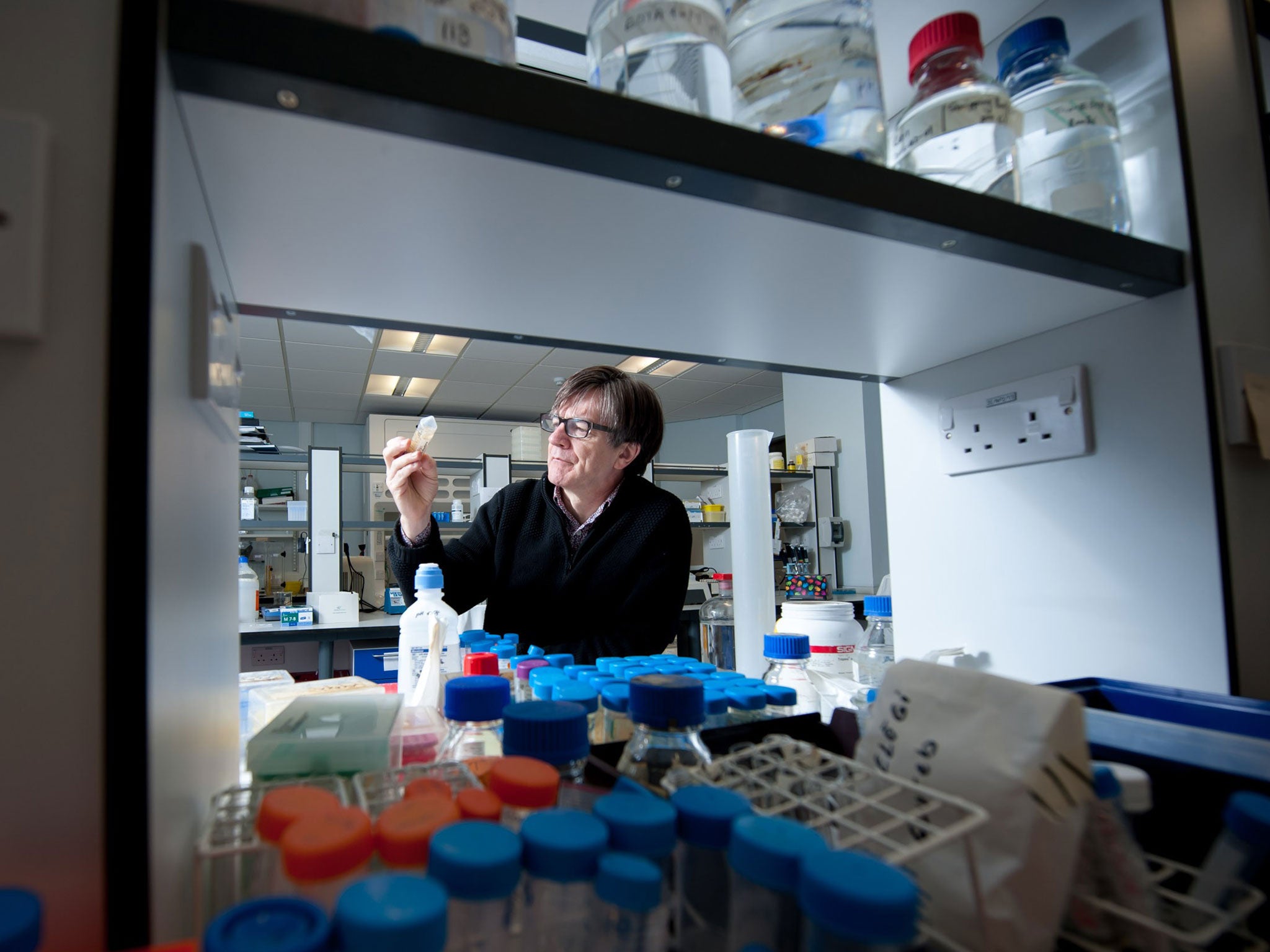 Safety first: Ken Donaldson, whose research linked nanotubes with cancer in mice