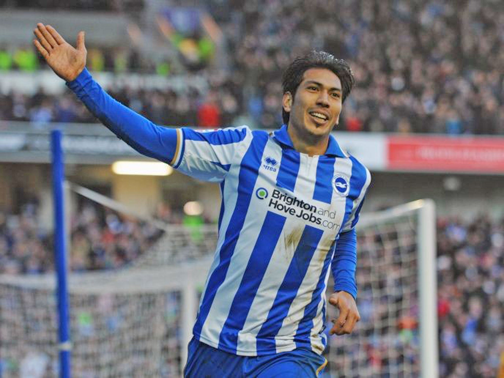 Leonardo Ulloa shone on his debut for Brighton on Saturday