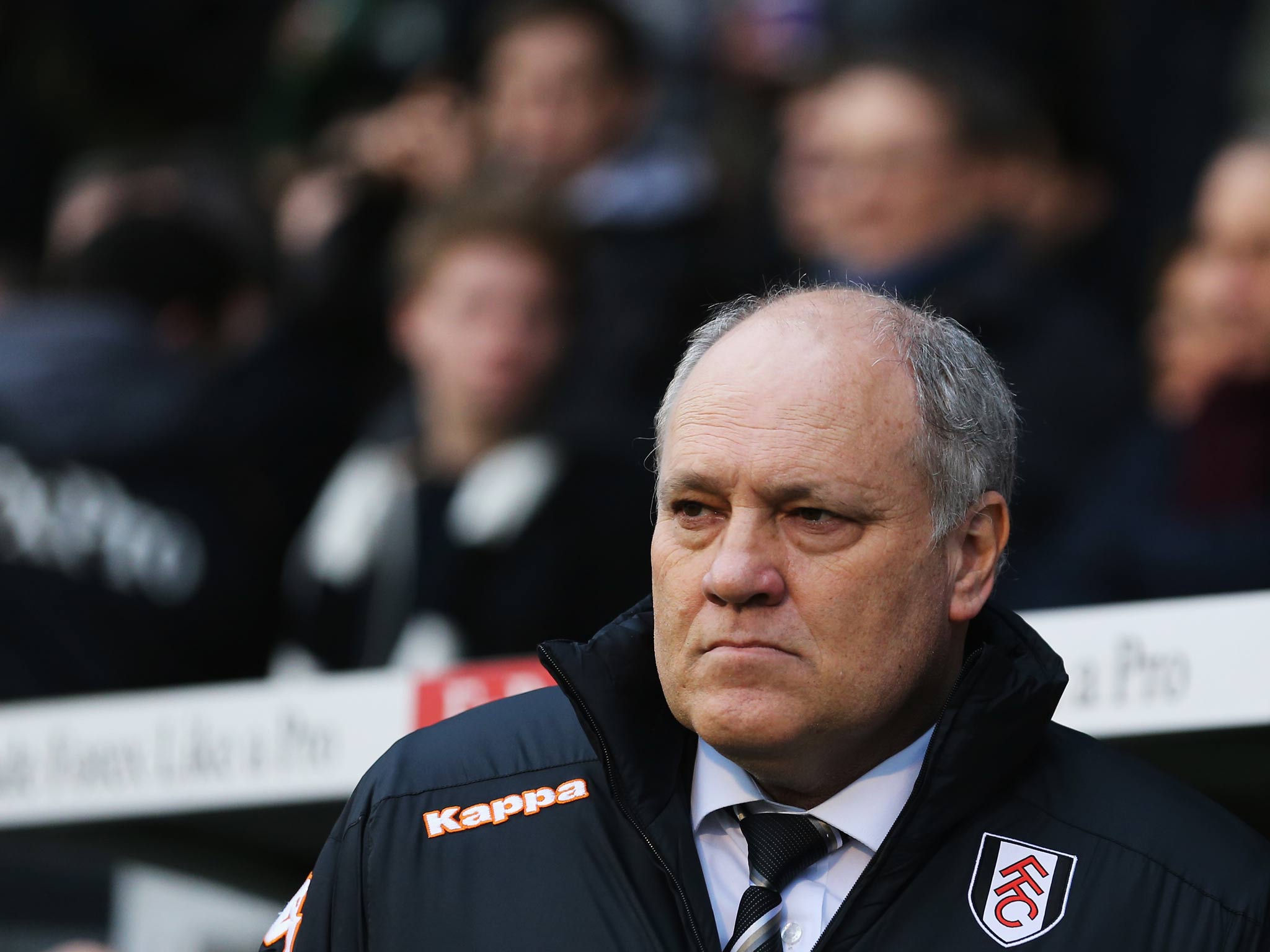 Fulham manager Martin Jol