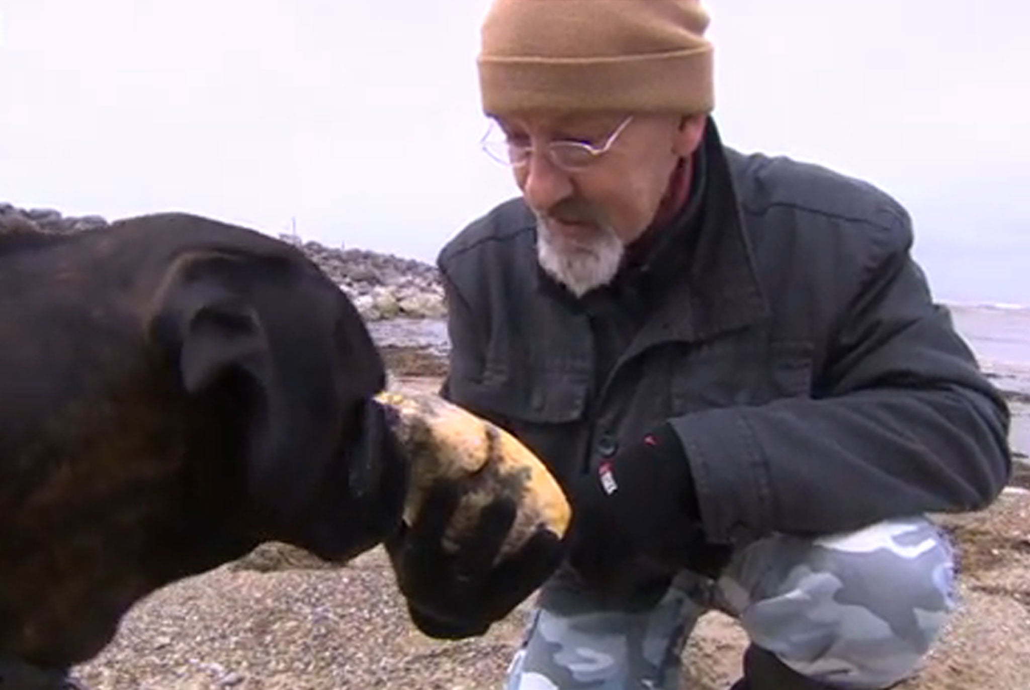 Ken Willman originally paid little attention to the dirty yellow rock his dog Madge dug up as the pair walked along Morecombe’s beach.