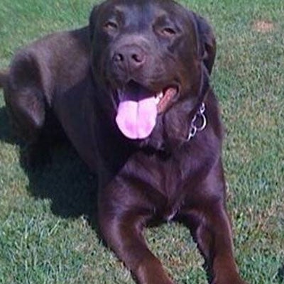 Phoebe was found dead on railway tracks