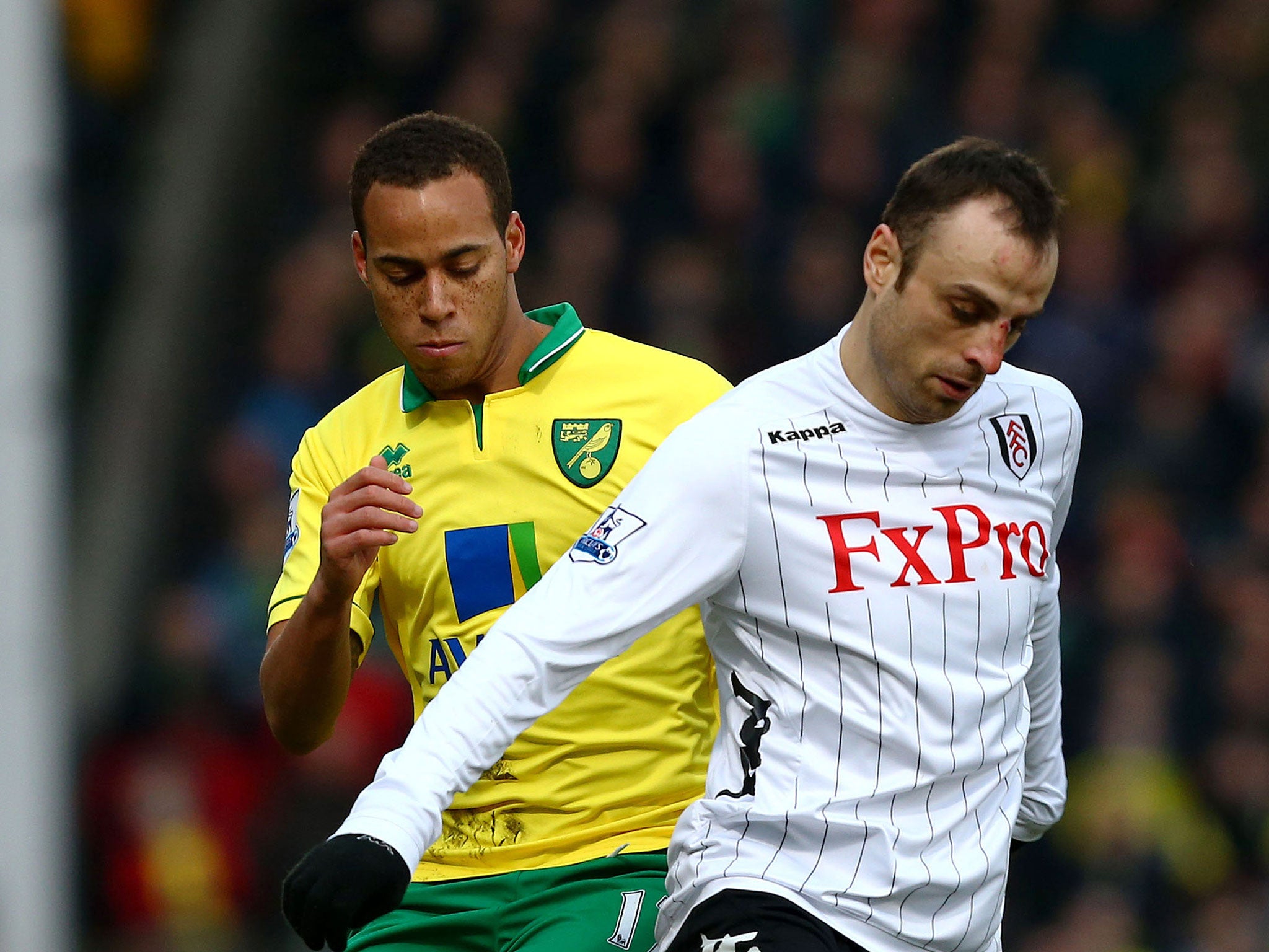 Fulham's Dimitar Berbatov failed to hit the net