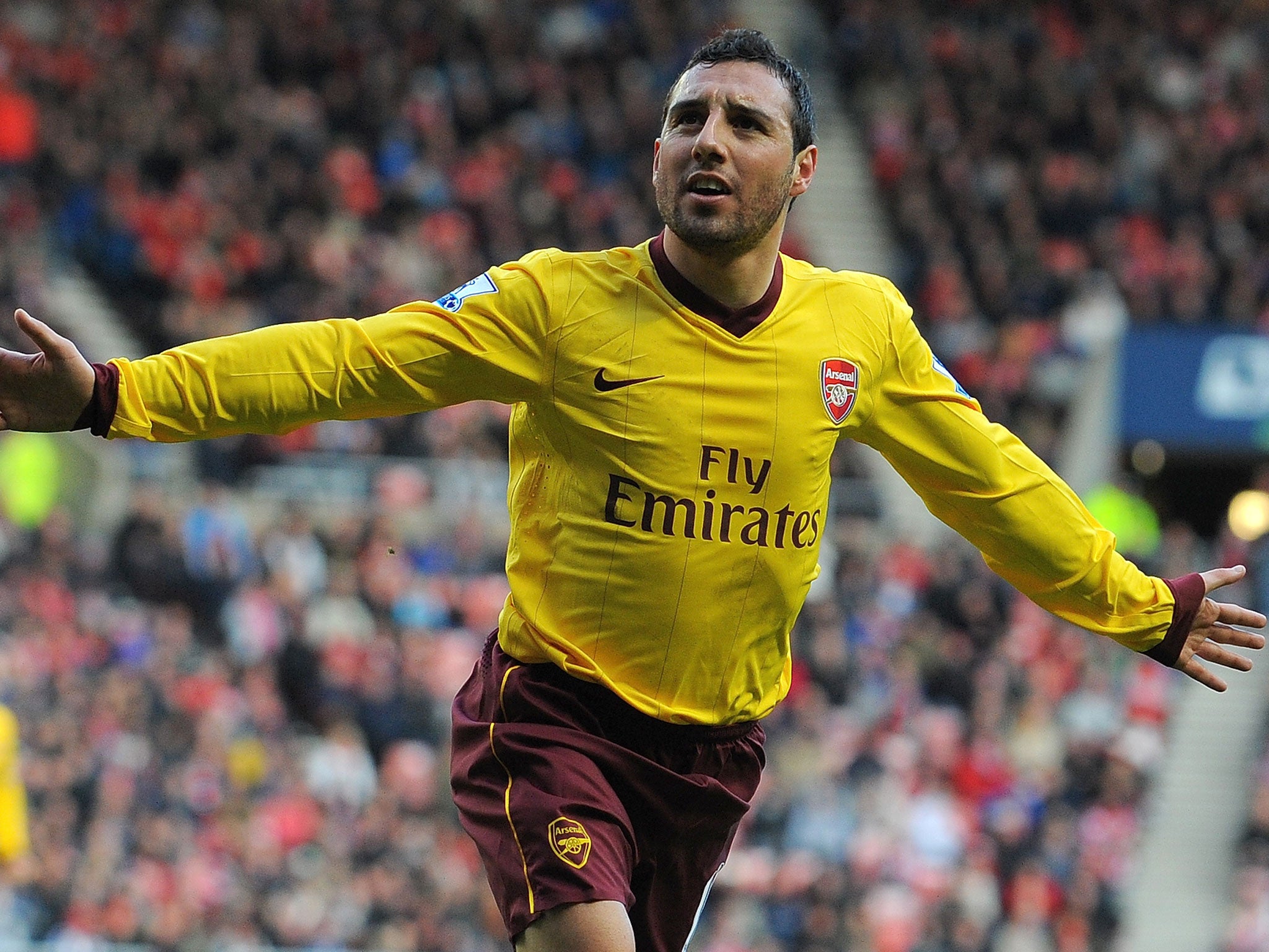 Santi Cazorla celebrates his goal for Arsenal