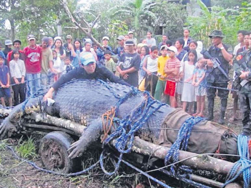 The world’s largest saltwater crocodile in captivity, Lolong, has died in Philippines