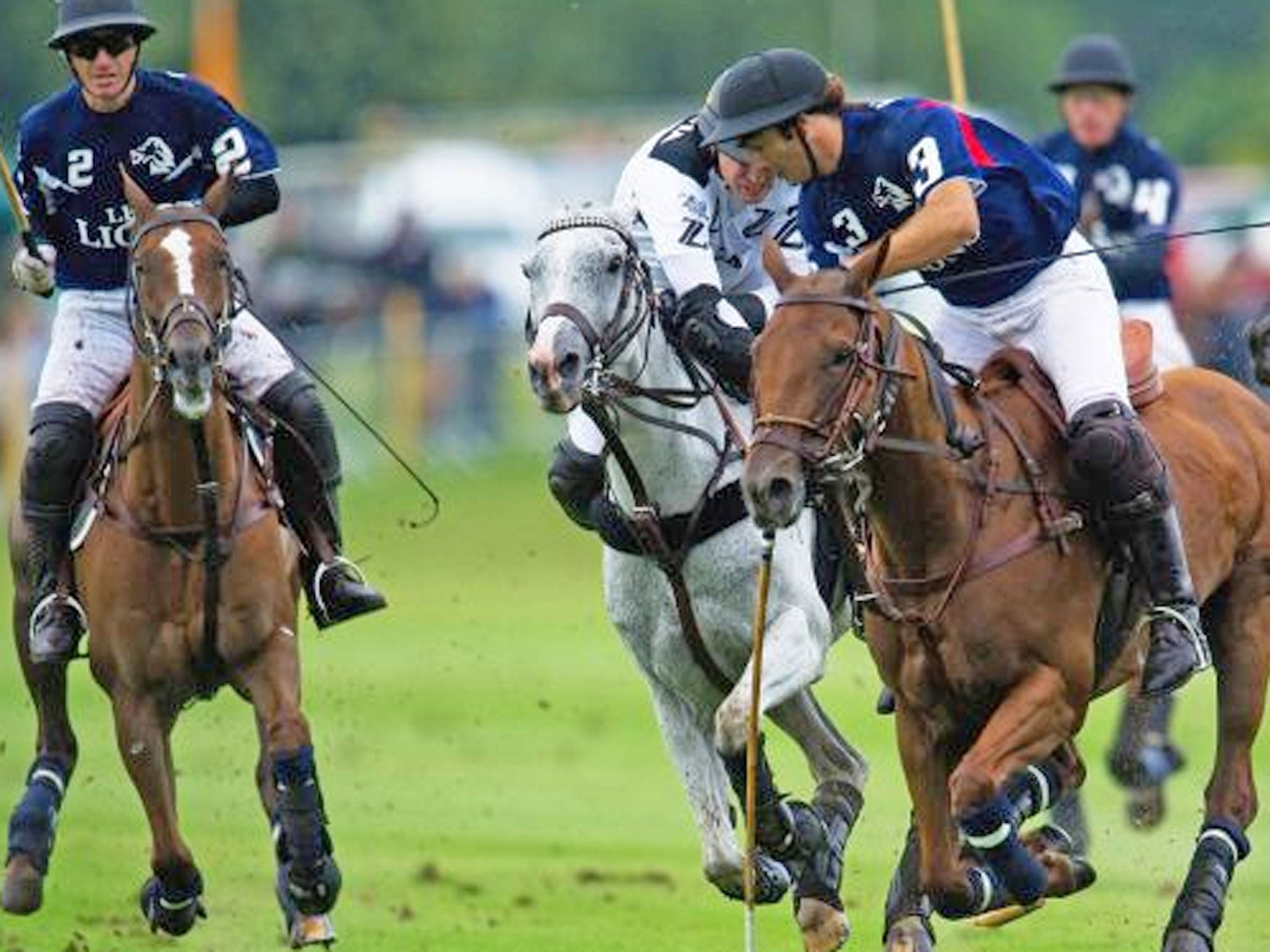 Lyndon Lea during a polo match