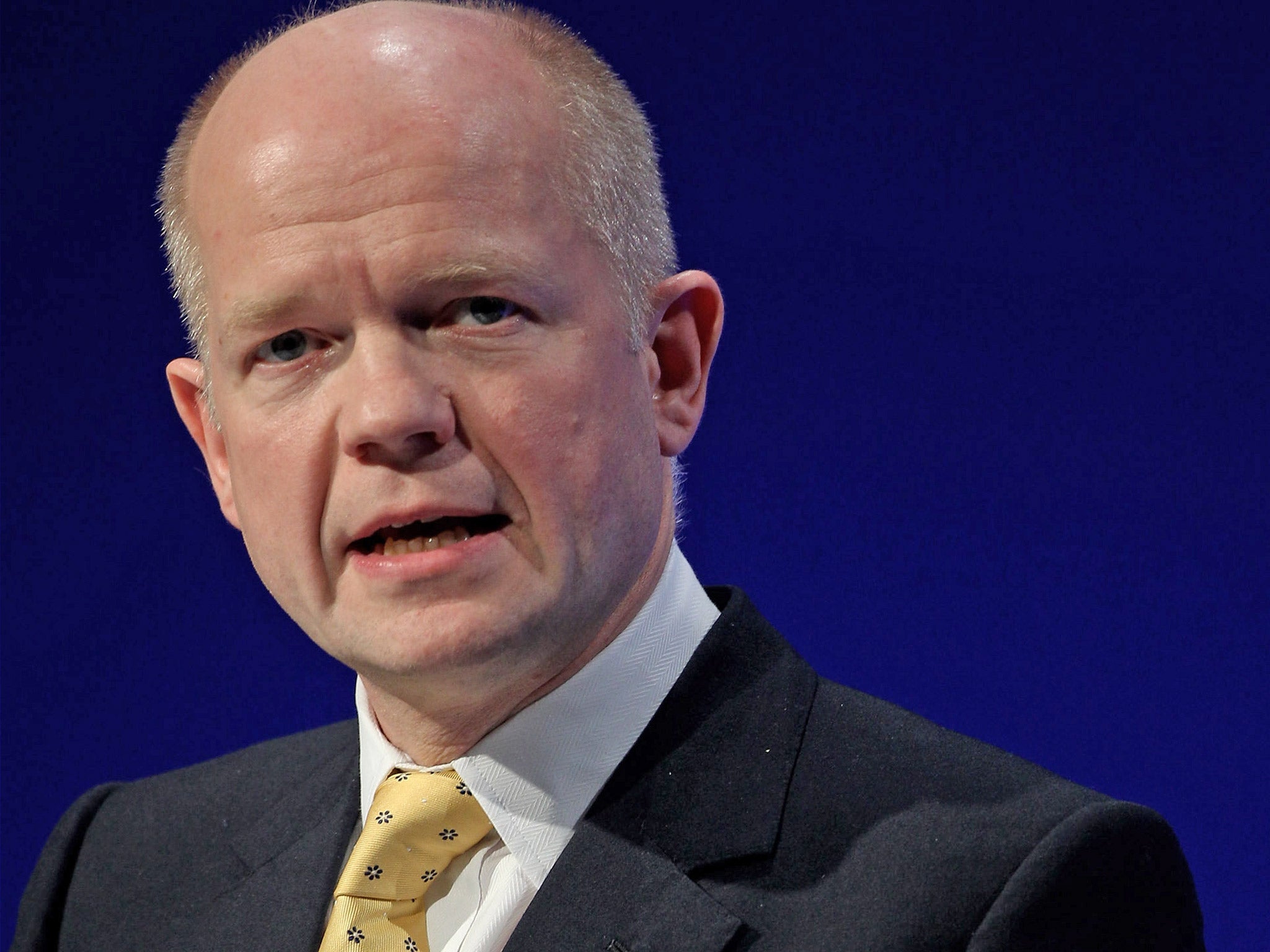 Foreign Secretary William Hague