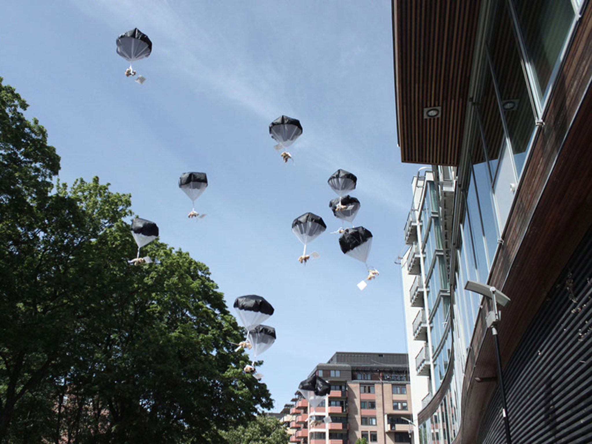 Bears fall from the sky as part of the PR stunt