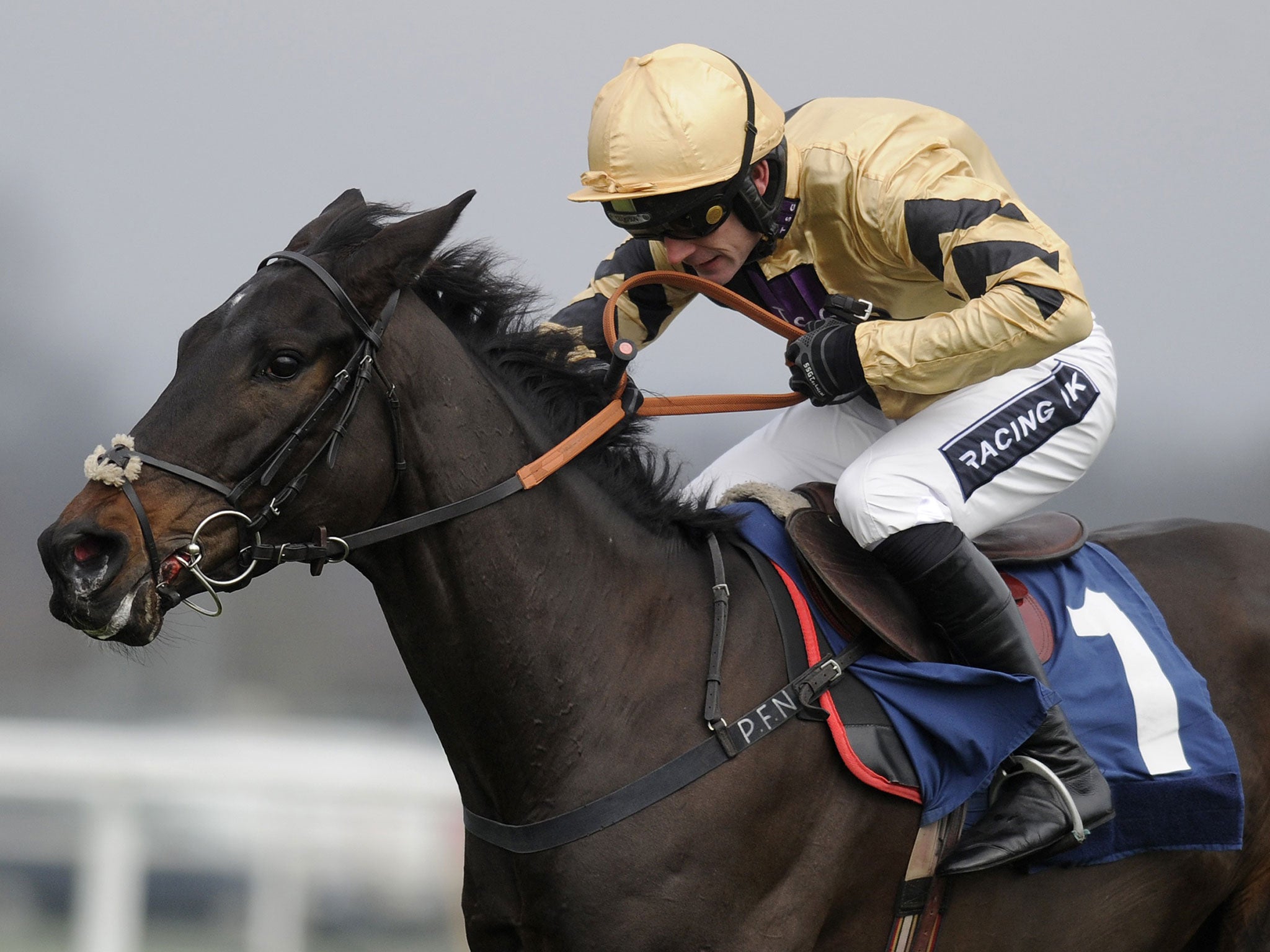 The French import Fago won impressively on his first start in Britain but fell when challenging for victory on the second