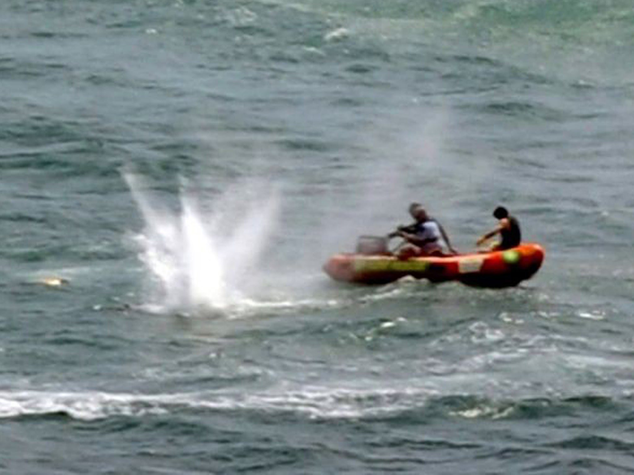 Police in inflatable rubber boats shoot at a shark off Muriwai Beach near Auckland as they attempt to retrieve a body following a fatal attack