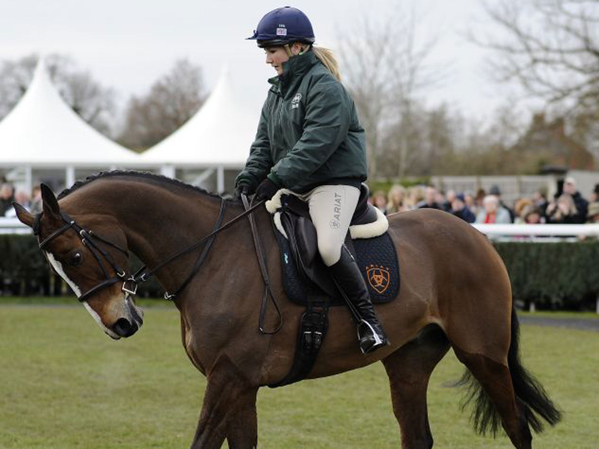 The double Cheltenham Gold Cup winner Kauto Star drew an enthusiastic crowd at Newbury for his first outing as a dressage horse