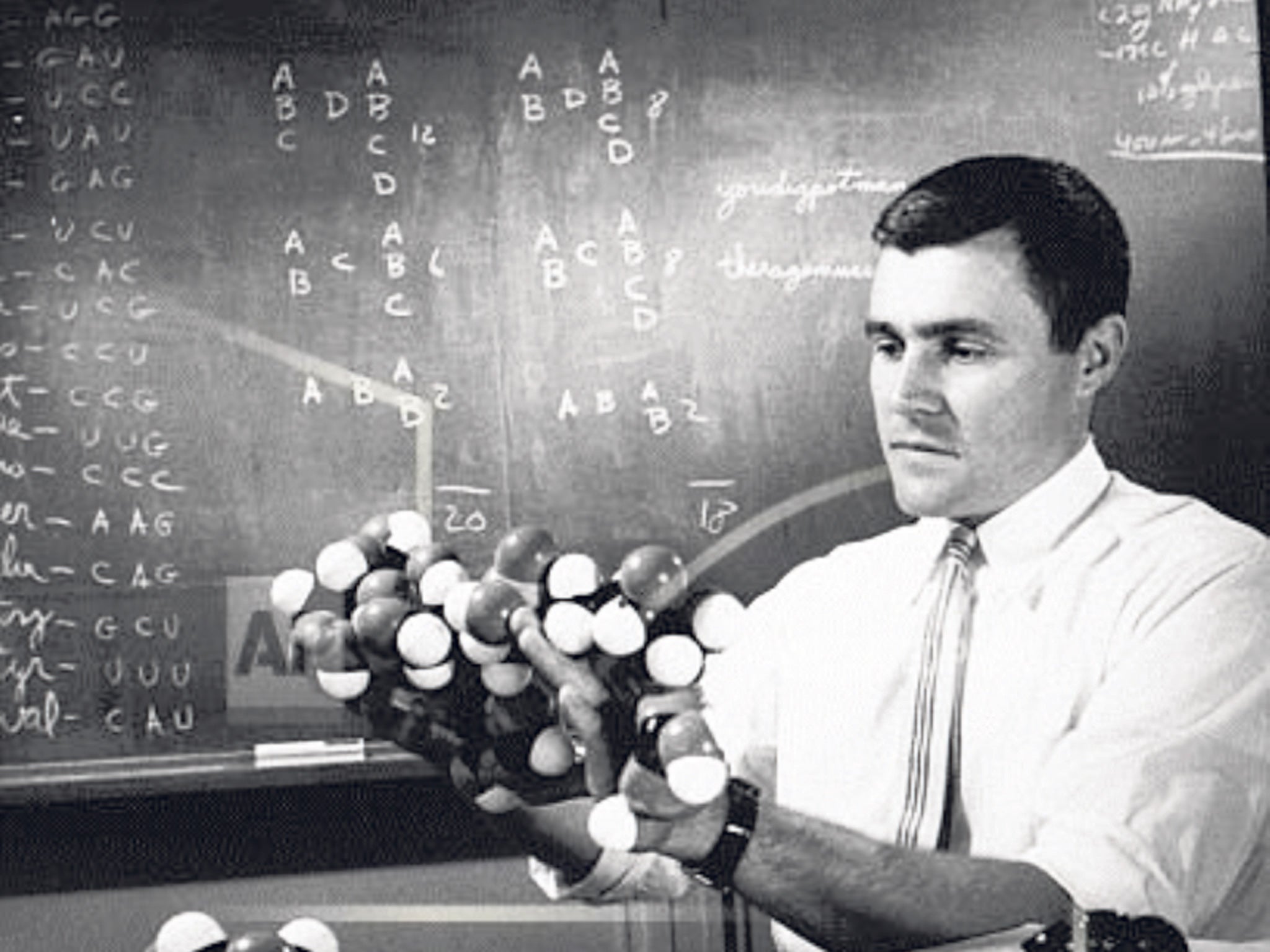 Woese in 1961 with a model of the ribonucleic acid chain