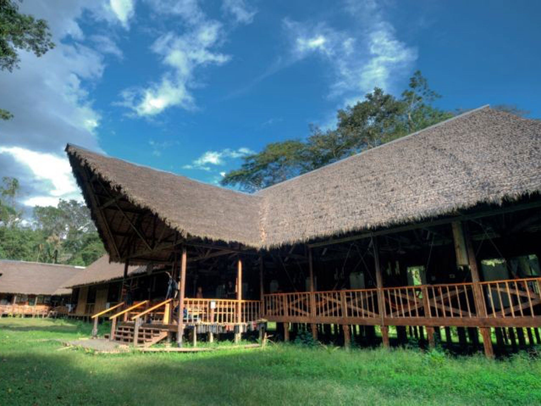 Wild world: Tambopata Research Centre
